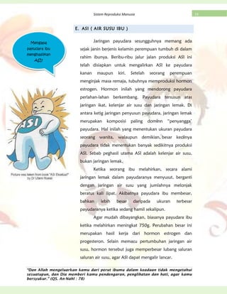 “Dan Allah mengeluarkan kamu dari perut ibumu dalam keadaan tidak mengetahui
sesuatupun, dan Dia memberi kamu pendengaran, penglihatan dan hati, agar kamu
bersyukur.” (QS. An-Nahl : 78)
19Sistem Reproduksi Manusia
E. ASI ( AIR SUSU IBU )
Jaringan payudara sesungguhnya memang ada
sejak janin berjenis kelamin perempuan tumbuh di dalam
rahim ibunya. Beribu-ribu jalur jalan produksi ASI ini
telah disiapkan untuk mengalirkan ASI ke payudara
kanan maupun kiri. Setelah seorang perempuan
menginjak masa remaja, tubuhnya memproduksi hormon
estrogen. Hormon inilah yang mendorong payudara
perlahan-lahan berkembang. Payudara tersusun atas
jaringan ikat, kelenjar air susu dan jaringan lemak. Di
antara ketig jaringan penyusun payudara, jaringan lemak
merupakan komposisi paling dominn “penyangga’
payudara. Hal inilah yang menentukan ukuran payudara
seorang wanita, walaupun demikian, besar kecilnya
payudara tidak menentukan banyak sedikitnya produksi
ASI. Sebab peghasil utama ASI adalah kelenjar air susu,
bukan jaringan lemak.
Ketika seorang ibu melahirkan, secara alami
jaringan lemak dalam payudaranya menyusut, berganti
dengan jaringan air susu yang jumlahnya melonjak
beratus kali lipat. Akibatnya payudara ibu membesar,
bahkan lebih besar daripada ukuran terbesar
payudaranya ketika sedang hamil sekalipun.
Agar mudah dibayangkan, biasanya payudara ibu
ketika melahirkan meningkat 750g. Perubahan besar ini
merupakan hasil kerja dari hormon estrogen dan
progesteron. Selain memacu pertumbuhan jaringan air
susu, hormon tersebut juga memperbesar lubang saluran
saluran air susu, agar ASI dapat mengalir lancar.
Mengapa
payudara ibu
menghasilkan
ASI?
 