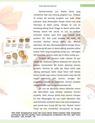 “Dan Allah mengeluarkan kamu dari perut ibumu dalam keadaan tidak mengetahui
sesuatupun, dan Dia memberi kamu pendengaran, penglihatan dan hati, agar kamu
bersyukur.” (QS. An-Nahl : 78)
20Sistem Reproduksi Manusia
Kelenjar-kelenjar susu disebut lobule yang
membentuk lobe atau kantung penghasil susu. Terdapat
15 sampai 20 kantung penghasil susu pada setiap
payudara, yang dihubungkan dengan saluran susu yang
terkumpul di dalam puting. Jaringan air susu ini
bercabang-cabang ribuan hingga ke daerah sekitar dada.
Disetiap daerah hilir saluran air susu itu terdapat
dompolan bulatan super kecil yang menjadi pusat
produksi ASI. Dari pusat produksi ASI inilah, ASI
kemudian dialirkan menuju puting susu. Sebelum
diperlukan, ASI akan dikumpulkan dalam jaringan khusus
menampung ASI yakni di daerah puncak payudara sekitar
bulatan hitam yang mengelilingi puting susu. Jadi begitu
ASI diperlukan, stoknya sudah siap di sekitar puting susu.
Produksi ASI biasanya sudah optimal 72 jam
setelah ibu melahirkan. Selama beberapa hari tubuh ibu
berpacu memproduksi ASI karena didorong hormon
prolaktin. Hormon ini sudah ada dalam tubuh sejak
seorang perempuan hamil, tetapi belum aktif bekerja
karena kendali tugas utama mempersiapkan bayi dan ASI
masih didominasi oleh hormon estrogen dan
progesteron. Setelah ibu melahirkan, hormon prolaktin
mengambil alih tugas utama memproduksi ASI.
Air susu tak diproduksi selama kehamilan karena
ada faktor-faktor yang menekan pelepasan hormon
prolaktin. Salah satunya berkat kerja hormon estrogen
itu. Bisa dibayangkan jka susu sudah diproduksi sejak
awal kehamilan sementara belum ada yang mengisapnya,
para bunda harus buang ASI tiap hari. Mubazir bukan?
Tuhan tak mau memberikan kemubaziran itu dengan
 