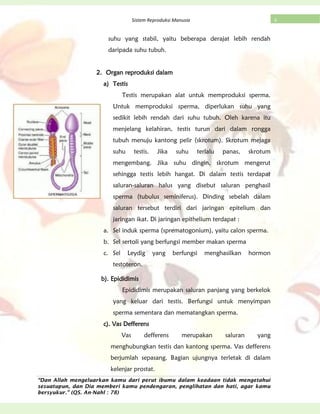 “Dan Allah mengeluarkan kamu dari perut ibumu dalam keadaan tidak mengetahui
sesuatupun, dan Dia memberi kamu pendengaran, penglihatan dan hati, agar kamu
bersyukur.” (QS. An-Nahl : 78)
6Sistem Reproduksi Manusia
suhu yang stabil, yaitu beberapa derajat lebih rendah
daripada suhu tubuh.
2. Organ reproduksi dalam
a) Testis
Testis merupakan alat untuk memproduksi sperma.
Untuk memproduksi sperma, diperlukan suhu yang
sedikit lebih rendah dari suhu tubuh. Oleh karena itu
menjelang kelahiran, testis turun dari dalam rongga
tubuh menuju kantong pelir (skrotum). Skrotum mejaga
suhu testis. Jika suhu terlalu panas, skrotum
mengembang. Jika suhu dingin, skrotum mengerut
sehingga testis lebih hangat. Di dalam testis terdapat
saluran-saluran halus yang disebut saluran penghasil
sperma (tubulus seminiferus). Dinding sebelah dalam
saluran tersebut terdiri dari jaringan epitelium dan
jaringan ikat. Di jaringan epithelium terdapat :
a. Sel induk sperma (sprematogonium), yaitu calon sperma.
b. Sel sertoli yang berfungsi member makan sperma
c. Sel Leydig yang berfungsi menghasilkan hormon
testoteron.
b). Epididimis
Epididimis merupakan saluran panjang yang berkelok
yang keluar dari testis. Berfungsi untuk menyimpan
sperma sementara dan mematangkan sperma.
c). Vas Defferens
Vas defferens merupakan saluran yang
menghubungkan testis dan kantong sperma. Vas defferens
berjumlah sepasang. Bagian ujungnya terletak di dalam
kelenjar prostat.
 