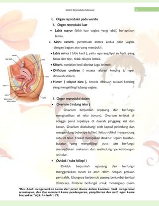 “Dan Allah mengeluarkan kamu dari perut ibumu dalam keadaan tidak mengetahui
sesuatupun, dan Dia memberi kamu pendengaran, penglihatan dan hati, agar kamu
bersyukur.” (QS. An-Nahl : 78)
8Sistem Reproduksi Manusia
b. Organ reproduksi pada wanita
1. Organ reproduksi luar
Labia mayor (bibir luar vagina yang tebal) berlapiskan
lemak.
Mons veneris, pertemuan antara kedua bibir vagina
dengan bagian atas yang membukit.
Labia minor ( bibir kecil ), yaitu sepasang lipatan kulit yang
halus dan tipis, tidak dilapisi lemak.
Klitoris, tonjolan kecil disebut juga kelentit.
Orificium urethrae ( muara saluran kencing ), tepat
dibawah klitoris.
Himen ( selaput dara ), berada dibawah saluran kencing
yang mengelilingi lubang vagina.
1. Organ reproduksi dalam
Ovarium ( indung telur )
Ovarium berjumlah sepasang dan berfungsi
menghasilkan sel telur (ovum). Ovarium terletak di
rongga perut tepatnya di daerah pinggang kiri dan
kanan. Ovarium diselubungi oleh kapsul pelindung dan
mengandung beberapa folikel. Setiap folikel mengandung
satu sel telur. Folikel merupakan struktur, seperti bulatan-
bulatan yang mengelilingi oosit dan berfungsi
menyediakan makanan dan melindungi perkembangan
sel telur.
Oviduk ( tuba fallopi )
Oviduk berjumlah sepasang dan berfungsi
menggerakkan ovum ke arah rahim dengan gerakan
peristaltik. Ujungnya berbentuk corong berjumbai-jumbai
(fimbrae). Fimbrae berfungsi untuk menangkap ovum
 