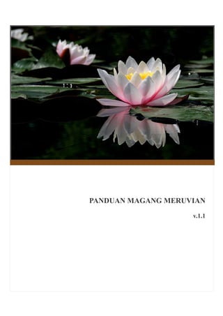 PANDUAN MAGANG MERUVIAN
v.1.1
 