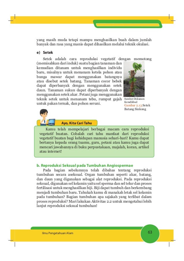 Buku Ipa Smp 9 K2013 Semester 1