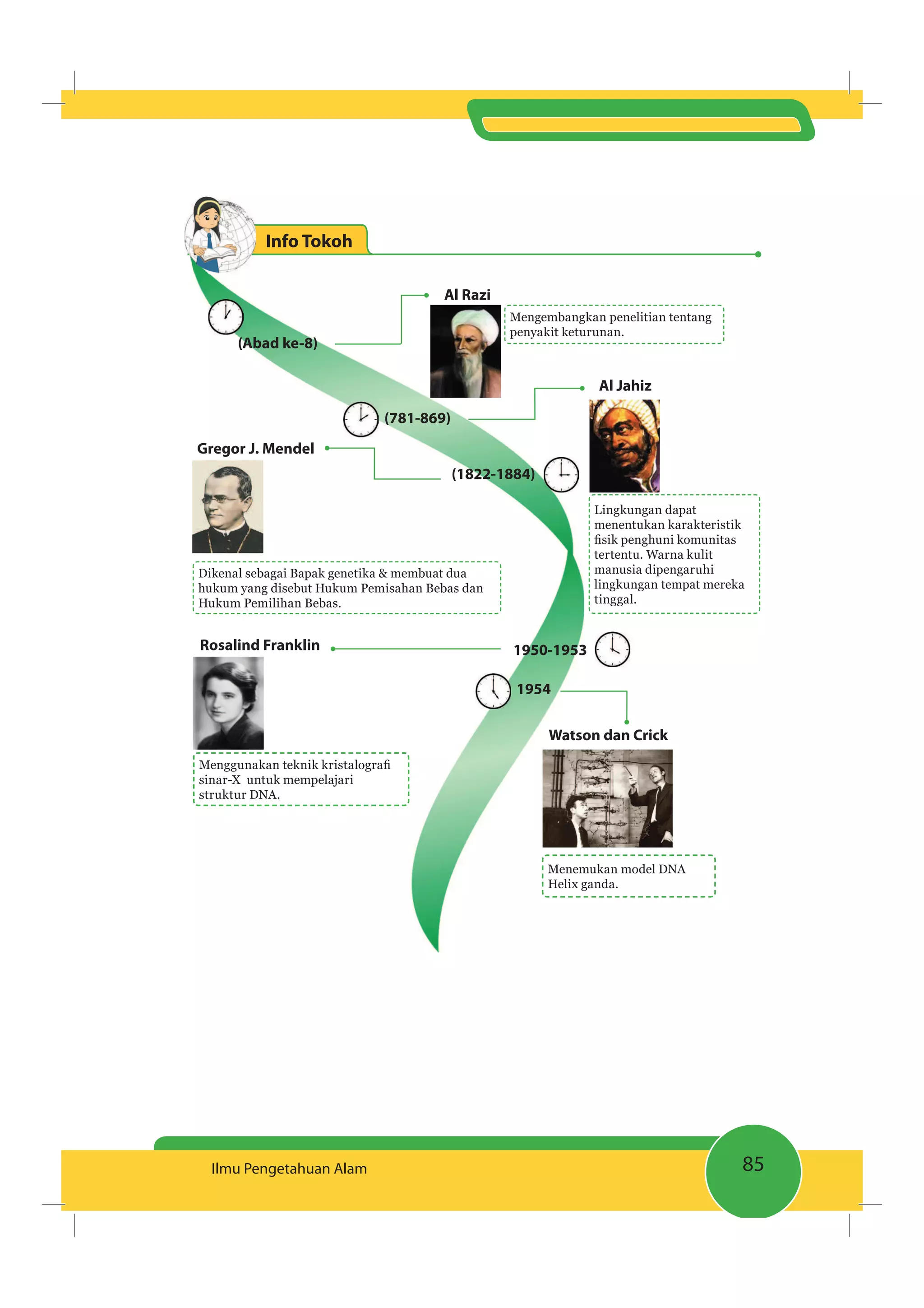 85Ilmu Pengetahuan Alam
Info Tokoh
Mengembangkan penelitian tentang
penyakit keturunan.
Lingkungan dapat
menentukan karakteristik
tertentu. Warna kulit
manusia dipengaruhi
lingkungan tempat mereka
tinggal.
Dikenal sebagai Bapak genetika & membuat dua
hukum yang disebut Hukum Pemisahan Bebas dan
Hukum Pemilihan Bebas.
sinar-X untuk mempelajari
struktur DNA.
Menemukan model DNA
Helix ganda.
Al Jahiz
Al Razi
Gregor J. Mendel
Rosalind Franklin
Watson dan Crick
(Abad ke-8)
(781-869)
(1822-1884)
1950-1953
1954
 