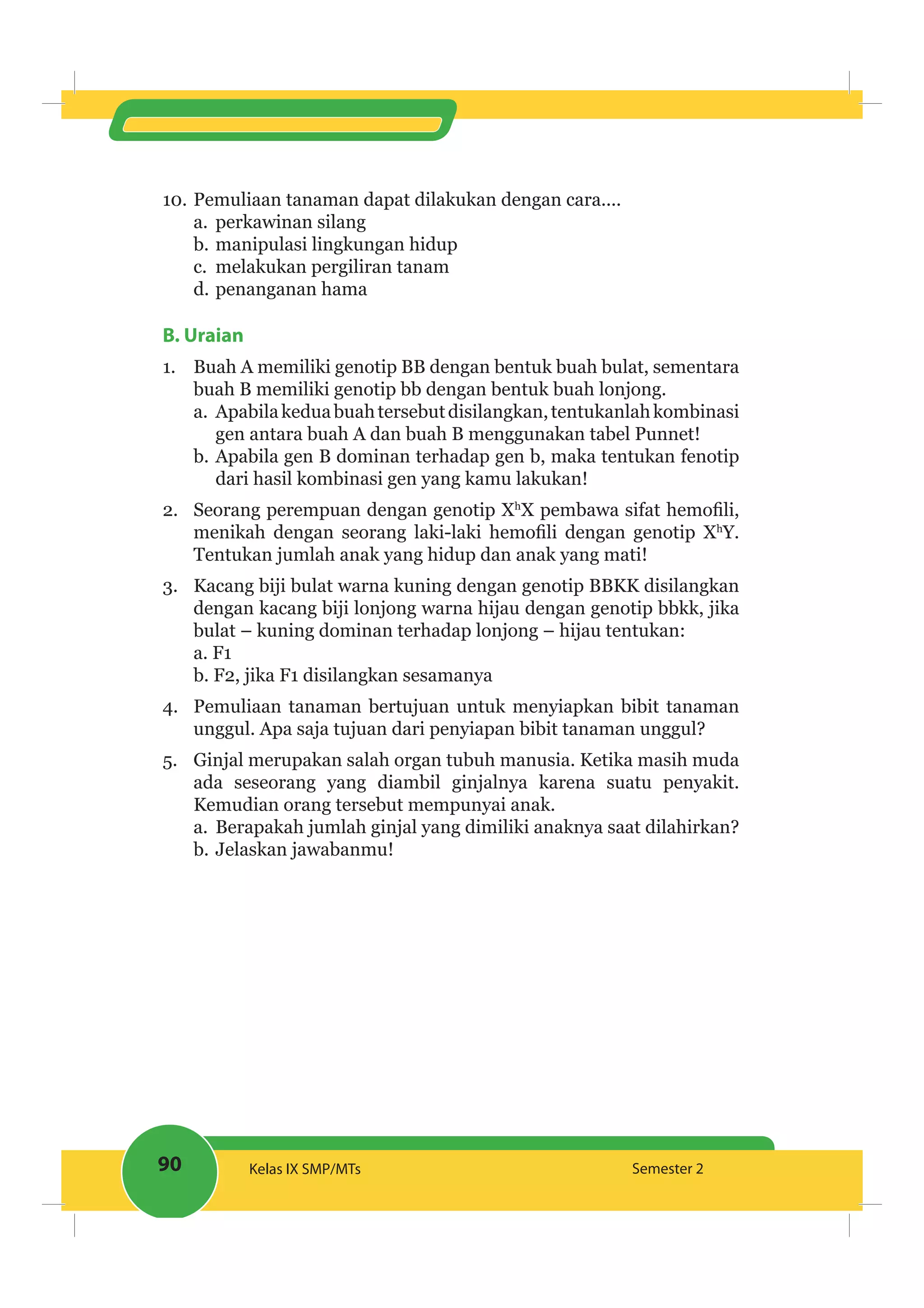 90 Kelas IX SMP/MTs Semester 2
10. Pemuliaan tanaman dapat dilakukan dengan cara....
a. perkawinan silang
b. manipulasi lingkungan hidup
c. melakukan pergiliran tanam
d. penanganan hama
B. Uraian
1. Buah A memiliki genotip BB dengan bentuk buah bulat, sementara
buah B memiliki genotip bb dengan bentuk buah lonjong.
a. Apabilakeduabuahtersebutdisilangkan,tentukanlahkombinasi
gen antara buah A dan buah B menggunakan tabel Punnet!
b. Apabila gen B dominan terhadap gen b, maka tentukan fenotip
dari hasil kombinasi gen yang kamu lakukan!
2. Seorang perempuan dengan genotip Xh
h
Y.
Tentukan jumlah anak yang hidup dan anak yang mati!
3. Kacang biji bulat warna kuning dengan genotip BBKK disilangkan
dengan kacang biji lonjong warna hijau dengan genotip bbkk, jika
bulat – kuning dominan terhadap lonjong – hijau tentukan:
a. F1
b. F2, jika F1 disilangkan sesamanya
4. Pemuliaan tanaman bertujuan untuk menyiapkan bibit tanaman
unggul. Apa saja tujuan dari penyiapan bibit tanaman unggul?
5. Ginjal merupakan salah organ tubuh manusia. Ketika masih muda
ada seseorang yang diambil ginjalnya karena suatu penyakit.
Kemudian orang tersebut mempunyai anak.
a. Berapakah jumlah ginjal yang dimiliki anaknya saat dilahirkan?
b. Jelaskan jawabanmu!
 