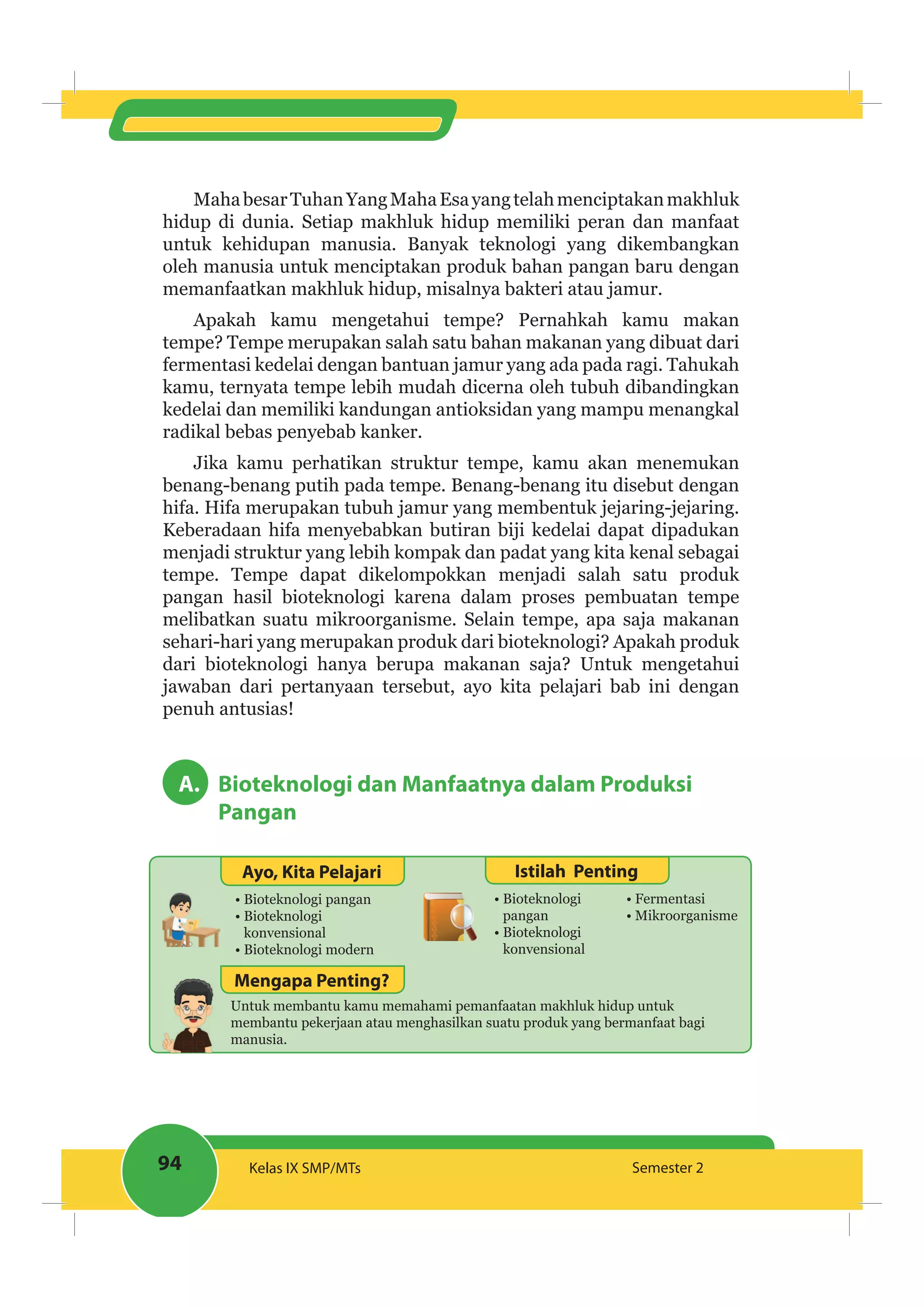 94 Kelas IX SMP/MTs Semester 2
MahabesarTuhanYangMahaEsayangtelahmenciptakanmakhluk
hidup di dunia. Setiap makhluk hidup memiliki peran dan manfaat
untuk kehidupan manusia. Banyak teknologi yang dikembangkan
oleh manusia untuk menciptakan produk bahan pangan baru dengan
memanfaatkan makhluk hidup, misalnya bakteri atau jamur.
Apakah kamu mengetahui tempe? Pernahkah kamu makan
tempe? Tempe merupakan salah satu bahan makanan yang dibuat dari
fermentasi kedelai dengan bantuan jamur yang ada pada ragi. Tahukah
kamu, ternyata tempe lebih mudah dicerna oleh tubuh dibandingkan
kedelai dan memiliki kandungan antioksidan yang mampu menangkal
radikal bebas penyebab kanker.
Jika kamu perhatikan struktur tempe, kamu akan menemukan
benang-benang putih pada tempe. Benang-benang itu disebut dengan
hifa. Hifa merupakan tubuh jamur yang membentuk jejaring-jejaring.
Keberadaan hifa menyebabkan butiran biji kedelai dapat dipadukan
menjadi struktur yang lebih kompak dan padat yang kita kenal sebagai
tempe. Tempe dapat dikelompokkan menjadi salah satu produk
pangan hasil bioteknologi karena dalam proses pembuatan tempe
melibatkan suatu mikroorganisme. Selain tempe, apa saja makanan
sehari-hari yang merupakan produk dari bioteknologi? Apakah produk
dari bioteknologi hanya berupa makanan saja? Untuk mengetahui
jawaban dari pertanyaan tersebut, ayo kita pelajari bab ini dengan
penuh antusias!
A. Bioteknologi dan Manfaatnya dalam Produksi
Pangan
Ayo, Kita Pelajari Istilah Penting
Bioteknologi pangan
Bioteknologi
konvensional
Bioteknologi modern
Bioteknologi
pangan
Bioteknologi
konvensional
Fermentasi
Mikroorganisme
Untuk membantu kamu memahami pemanfaatan makhluk hidup untuk
membantu pekerjaan atau menghasilkan suatu produk yang bermanfaat bagi
manusia.
Mengapa Penting?
 