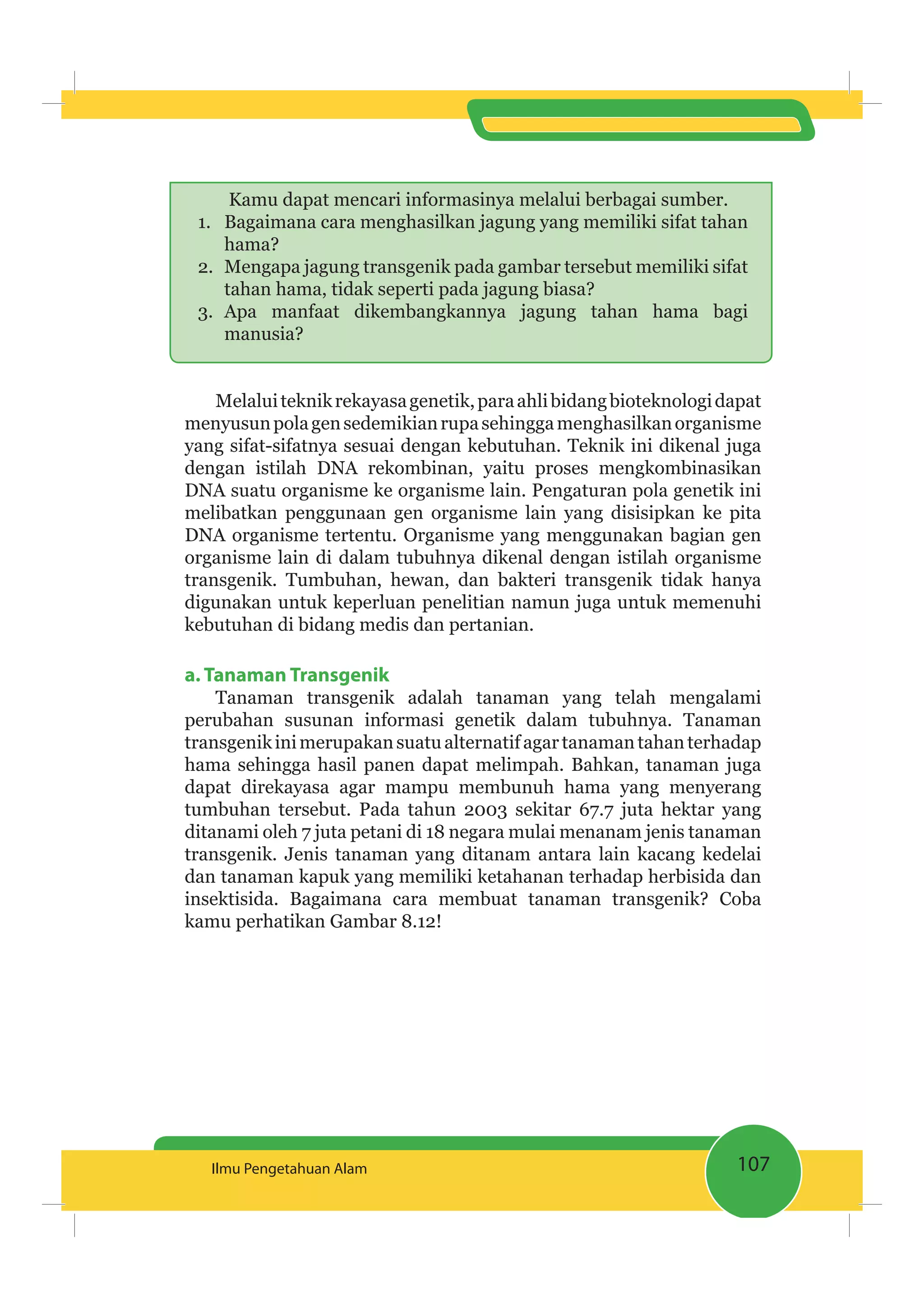 107Ilmu Pengetahuan Alam
Kamu dapat mencari informasinya melalui berbagai sumber.
1. Bagaimana cara menghasilkan jagung yang memiliki sifat tahan
hama?
2. Mengapa jagung transgenik pada gambar tersebut memiliki sifat
tahan hama, tidak seperti pada jagung biasa?
3. Apa manfaat dikembangkannya jagung tahan hama bagi
manusia?
Melaluiteknikrekayasagenetik,paraahlibidangbioteknologidapat
menyusunpolagensedemikianrupasehinggamenghasilkanorganisme
yang sifat-sifatnya sesuai dengan kebutuhan. Teknik ini dikenal juga
dengan istilah DNA rekombinan, yaitu proses mengkombinasikan
DNA suatu organisme ke organisme lain. Pengaturan pola genetik ini
melibatkan penggunaan gen organisme lain yang disisipkan ke pita
DNA organisme tertentu. Organisme yang menggunakan bagian gen
organisme lain di dalam tubuhnya dikenal dengan istilah organisme
transgenik. Tumbuhan, hewan, dan bakteri transgenik tidak hanya
digunakan untuk keperluan penelitian namun juga untuk memenuhi
kebutuhan di bidang medis dan pertanian.
a. Tanaman Transgenik
Tanaman transgenik adalah tanaman yang telah mengalami
perubahan susunan informasi genetik dalam tubuhnya. Tanaman
transgenikinimerupakansuatualternatifagartanamantahanterhadap
hama sehingga hasil panen dapat melimpah. Bahkan, tanaman juga
dapat direkayasa agar mampu membunuh hama yang menyerang
tumbuhan tersebut. Pada tahun 2003 sekitar 67.7 juta hektar yang
ditanami oleh 7 juta petani di 18 negara mulai menanam jenis tanaman
transgenik. Jenis tanaman yang ditanam antara lain kacang kedelai
dan tanaman kapuk yang memiliki ketahanan terhadap herbisida dan
insektisida. Bagaimana cara membuat tanaman transgenik? Coba
kamu perhatikan Gambar 8.12!
 