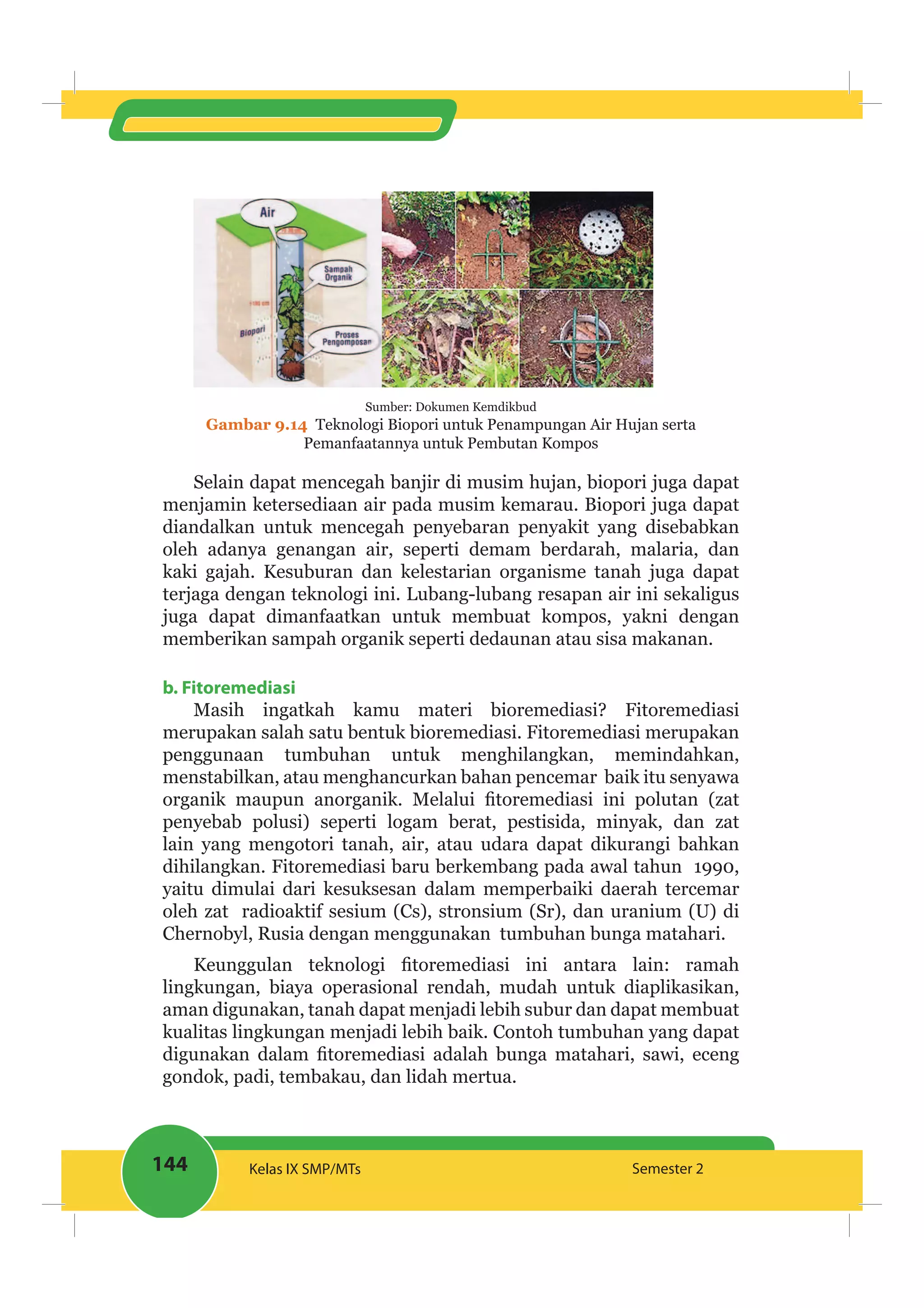 144 Kelas IX SMP/MTs Semester 2
Sumber: Dokumen Kemdikbud
Gambar 9.14 Teknologi Biopori untuk Penampungan Air Hujan serta
Pemanfaatannya untuk Pembutan Kompos
Selain dapat mencegah banjir di musim hujan, biopori juga dapat
menjamin ketersediaan air pada musim kemarau. Biopori juga dapat
diandalkan untuk mencegah penyebaran penyakit yang disebabkan
oleh adanya genangan air, seperti demam berdarah, malaria, dan
kaki gajah. Kesuburan dan kelestarian organisme tanah juga dapat
terjaga dengan teknologi ini. Lubang-lubang resapan air ini sekaligus
juga dapat dimanfaatkan untuk membuat kompos, yakni dengan
memberikan sampah organik seperti dedaunan atau sisa makanan.
b. Fitoremediasi
Masih ingatkah kamu materi bioremediasi? Fitoremediasi
merupakan salah satu bentuk bioremediasi. Fitoremediasi merupakan
penggunaan tumbuhan untuk menghilangkan, memindahkan,
menstabilkan, atau menghancurkan bahan pencemar baik itu senyawa
penyebab polusi) seperti logam berat, pestisida, minyak, dan zat
lain yang mengotori tanah, air, atau udara dapat dikurangi bahkan
dihilangkan. Fitoremediasi baru berkembang pada awal tahun 1990,
yaitu dimulai dari kesuksesan dalam memperbaiki daerah tercemar
oleh zat radioaktif sesium (Cs), stronsium (Sr), dan uranium (U) di
Chernobyl, Rusia dengan menggunakan tumbuhan bunga matahari.
lingkungan, biaya operasional rendah, mudah untuk diaplikasikan,
aman digunakan, tanah dapat menjadi lebih subur dan dapat membuat
kualitas lingkungan menjadi lebih baik. Contoh tumbuhan yang dapat
gondok, padi, tembakau, dan lidah mertua.
 