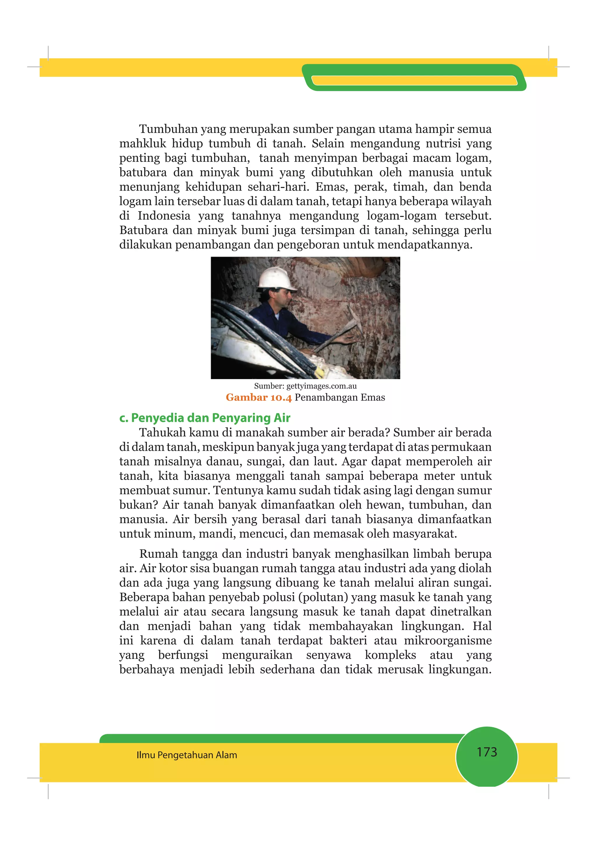 173Ilmu Pengetahuan Alam
Tumbuhan yang merupakan sumber pangan utama hampir semua
mahkluk hidup tumbuh di tanah. Selain mengandung nutrisi yang
penting bagi tumbuhan, tanah menyimpan berbagai macam logam,
batubara dan minyak bumi yang dibutuhkan oleh manusia untuk
menunjang kehidupan sehari-hari. Emas, perak, timah, dan benda
logam lain tersebar luas di dalam tanah, tetapi hanya beberapa wilayah
di Indonesia yang tanahnya mengandung logam-logam tersebut.
Batubara dan minyak bumi juga tersimpan di tanah, sehingga perlu
dilakukan penambangan dan pengeboran untuk mendapatkannya.
Sumber: gettyimages.com.au
Gambar 10.4 Penambangan Emas
c. Penyedia dan Penyaring Air
Tahukah kamu di manakah sumber air berada? Sumber air berada
di dalam tanah, meskipun banyak juga yang terdapat di atas permukaan
tanah misalnya danau, sungai, dan laut. Agar dapat memperoleh air
tanah, kita biasanya menggali tanah sampai beberapa meter untuk
membuat sumur. Tentunya kamu sudah tidak asing lagi dengan sumur
bukan? Air tanah banyak dimanfaatkan oleh hewan, tumbuhan, dan
manusia. Air bersih yang berasal dari tanah biasanya dimanfaatkan
untuk minum, mandi, mencuci, dan memasak oleh masyarakat.
Rumah tangga dan industri banyak menghasilkan limbah berupa
air. Air kotor sisa buangan rumah tangga atau industri ada yang diolah
dan ada juga yang langsung dibuang ke tanah melalui aliran sungai.
Beberapa bahan penyebab polusi (polutan) yang masuk ke tanah yang
melalui air atau secara langsung masuk ke tanah dapat dinetralkan
dan menjadi bahan yang tidak membahayakan lingkungan. Hal
ini karena di dalam tanah terdapat bakteri atau mikroorganisme
yang berfungsi menguraikan senyawa kompleks atau yang
berbahaya menjadi lebih sederhana dan tidak merusak lingkungan.
 