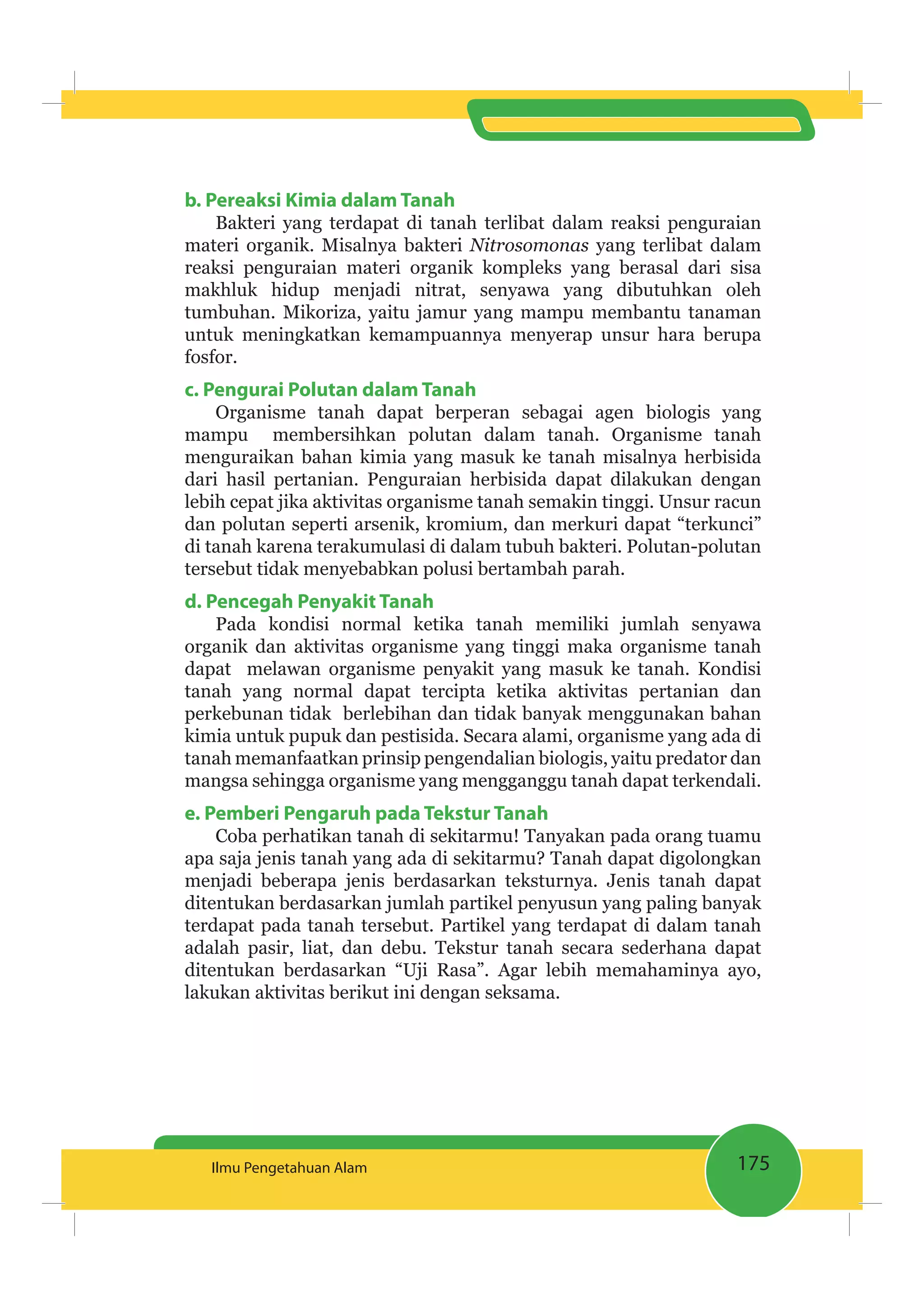 175Ilmu Pengetahuan Alam
b. Pereaksi Kimia dalam Tanah
Bakteri yang terdapat di tanah terlibat dalam reaksi penguraian
materi organik. Misalnya bakteri Nitrosomonas yang terlibat dalam
reaksi penguraian materi organik kompleks yang berasal dari sisa
makhluk hidup menjadi nitrat, senyawa yang dibutuhkan oleh
tumbuhan. Mikoriza, yaitu jamur yang mampu membantu tanaman
untuk meningkatkan kemampuannya menyerap unsur hara berupa
fosfor.
c. Pengurai Polutan dalam Tanah
Organisme tanah dapat berperan sebagai agen biologis yang
mampu membersihkan polutan dalam tanah. Organisme tanah
menguraikan bahan kimia yang masuk ke tanah misalnya herbisida
dari hasil pertanian. Penguraian herbisida dapat dilakukan dengan
lebih cepat jika aktivitas organisme tanah semakin tinggi. Unsur racun
dan polutan seperti arsenik, kromium, dan merkuri dapat “terkunci”
di tanah karena terakumulasi di dalam tubuh bakteri. Polutan-polutan
tersebut tidak menyebabkan polusi bertambah parah.
d. Pencegah Penyakit Tanah
Pada kondisi normal ketika tanah memiliki jumlah senyawa
organik dan aktivitas organisme yang tinggi maka organisme tanah
dapat melawan organisme penyakit yang masuk ke tanah. Kondisi
tanah yang normal dapat tercipta ketika aktivitas pertanian dan
perkebunan tidak berlebihan dan tidak banyak menggunakan bahan
kimia untuk pupuk dan pestisida. Secara alami, organisme yang ada di
tanah memanfaatkan prinsip pengendalian biologis, yaitu predator dan
mangsa sehingga organisme yang mengganggu tanah dapat terkendali.
e. Pemberi Pengaruh pada Tekstur Tanah
Coba perhatikan tanah di sekitarmu! Tanyakan pada orang tuamu
apa saja jenis tanah yang ada di sekitarmu? Tanah dapat digolongkan
menjadi beberapa jenis berdasarkan teksturnya. Jenis tanah dapat
ditentukan berdasarkan jumlah partikel penyusun yang paling banyak
terdapat pada tanah tersebut. Partikel yang terdapat di dalam tanah
adalah pasir, liat, dan debu. Tekstur tanah secara sederhana dapat
ditentukan berdasarkan “Uji Rasa”. Agar lebih memahaminya ayo,
lakukan aktivitas berikut ini dengan seksama.
 