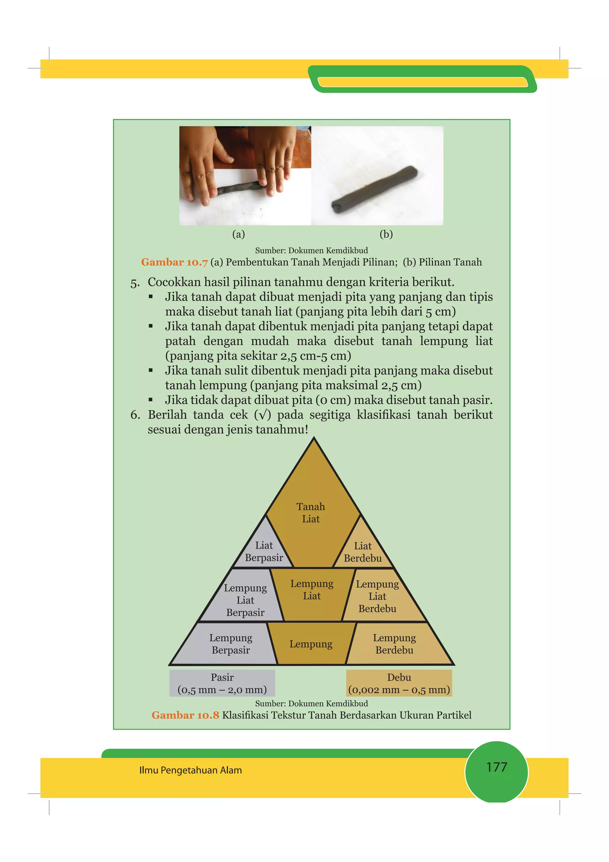 177Ilmu Pengetahuan Alam
(a) (b)
Sumber: Dokumen Kemdikbud
Gambar 10.7 (a) Pembentukan Tanah Menjadi Pilinan; (b) Pilinan Tanah
5. Cocokkan hasil pilinan tanahmu dengan kriteria berikut.
Jika tanah dapat dibuat menjadi pita yang panjang dan tipis
maka disebut tanah liat (panjang pita lebih dari 5 cm)
Jika tanah dapat dibentuk menjadi pita panjang tetapi dapat
patah dengan mudah maka disebut tanah lempung liat
(panjang pita sekitar 2,5 cm-5 cm)
Jika tanah sulit dibentuk menjadi pita panjang maka disebut
tanah lempung (panjang pita maksimal 2,5 cm)
Jika tidak dapat dibuat pita (0 cm) maka disebut tanah pasir.
6.
sesuai dengan jenis tanahmu!
Lempung
Berpasir
Lempung
Lempung
Berdebu
Lempung
Liat
Tanah
Liat
Lempung
Liat
Berdebu
Liat
Berdebu
Lempung
Liat
Berpasir
Liat
Berpasir
Pasir
(0,5 mm – 2,0 mm)
Debu
(0,002 mm – 0,5 mm)
Sumber: Dokumen Kemdikbud
Gambar 10.8
 