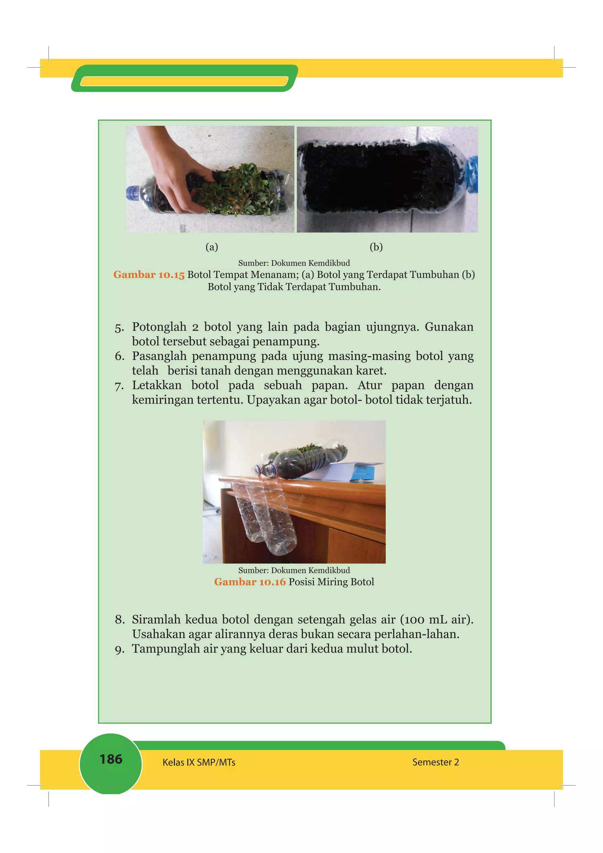 186 Kelas IX SMP/MTs Semester 2
(a) (b)
Sumber: Dokumen Kemdikbud
Gambar 10.15 Botol Tempat Menanam; (a) Botol yang Terdapat Tumbuhan (b)
Botol yang Tidak Terdapat Tumbuhan.
5. Potonglah 2 botol yang lain pada bagian ujungnya. Gunakan
botol tersebut sebagai penampung.
6. Pasanglah penampung pada ujung masing-masing botol yang
telah berisi tanah dengan menggunakan karet.
7. Letakkan botol pada sebuah papan. Atur papan dengan
kemiringan tertentu. Upayakan agar botol- botol tidak terjatuh.
Sumber: Dokumen Kemdikbud
Gambar 10.16 Posisi Miring Botol
8. Siramlah kedua botol dengan setengah gelas air (100 mL air).
Usahakan agar alirannya deras bukan secara perlahan-lahan.
9. Tampunglah air yang keluar dari kedua mulut botol.
 