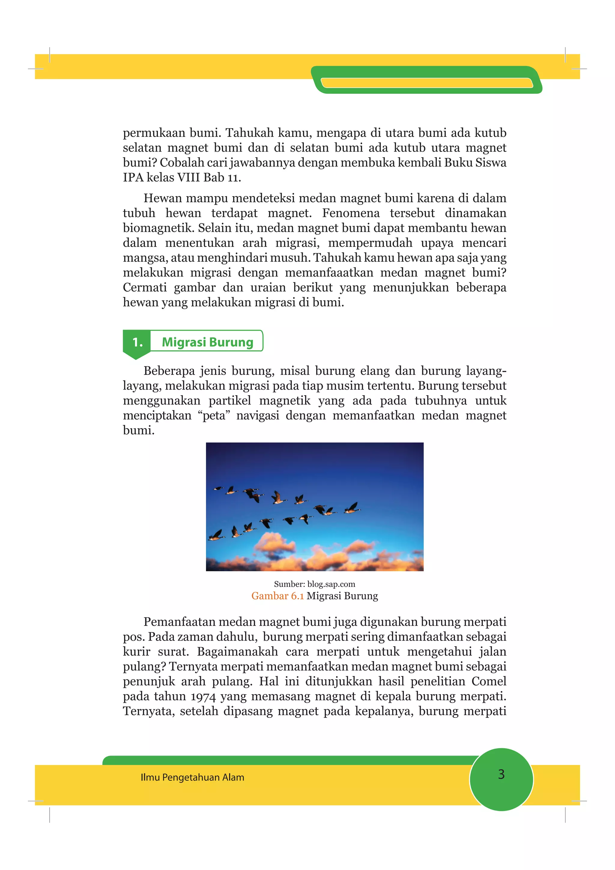 3Ilmu Pengetahuan Alam
permukaan bumi. Tahukah kamu, mengapa di utara bumi ada kutub
selatan magnet bumi dan di selatan bumi ada kutub utara magnet
bumi? Cobalah cari jawabannya dengan membuka kembali Buku Siswa
IPA kelas VIII Bab 11.
Hewan mampu mendeteksi medan magnet bumi karena di dalam
tubuh hewan terdapat magnet. Fenomena tersebut dinamakan
biomagnetik. Selain itu, medan magnet bumi dapat membantu hewan
dalam menentukan arah migrasi, mempermudah upaya mencari
mangsa, atau menghindari musuh. Tahukah kamu hewan apa saja yang
melakukan migrasi dengan memanfaaatkan medan magnet bumi?
Cermati gambar dan uraian berikut yang menunjukkan beberapa
hewan yang melakukan migrasi di bumi.
1. Migrasi Burung
Beberapa jenis burung, misal burung elang dan burung layang-
layang, melakukan migrasi pada tiap musim tertentu. Burung tersebut
menggunakan partikel magnetik yang ada pada tubuhnya untuk
menciptakan “peta” navigasi dengan memanfaatkan medan magnet
bumi.
Sumber: blog.sap.com
Gambar 6.1 Migrasi Burung
Pemanfaatan medan magnet bumi juga digunakan burung merpati
pos. Pada zaman dahulu, burung merpati sering dimanfaatkan sebagai
kurir surat. Bagaimanakah cara merpati untuk mengetahui jalan
pulang? Ternyata merpati memanfaatkan medan magnet bumi sebagai
penunjuk arah pulang. Hal ini ditunjukkan hasil penelitian Comel
pada tahun 1974 yang memasang magnet di kepala burung merpati.
Ternyata, setelah dipasang magnet pada kepalanya, burung merpati
 