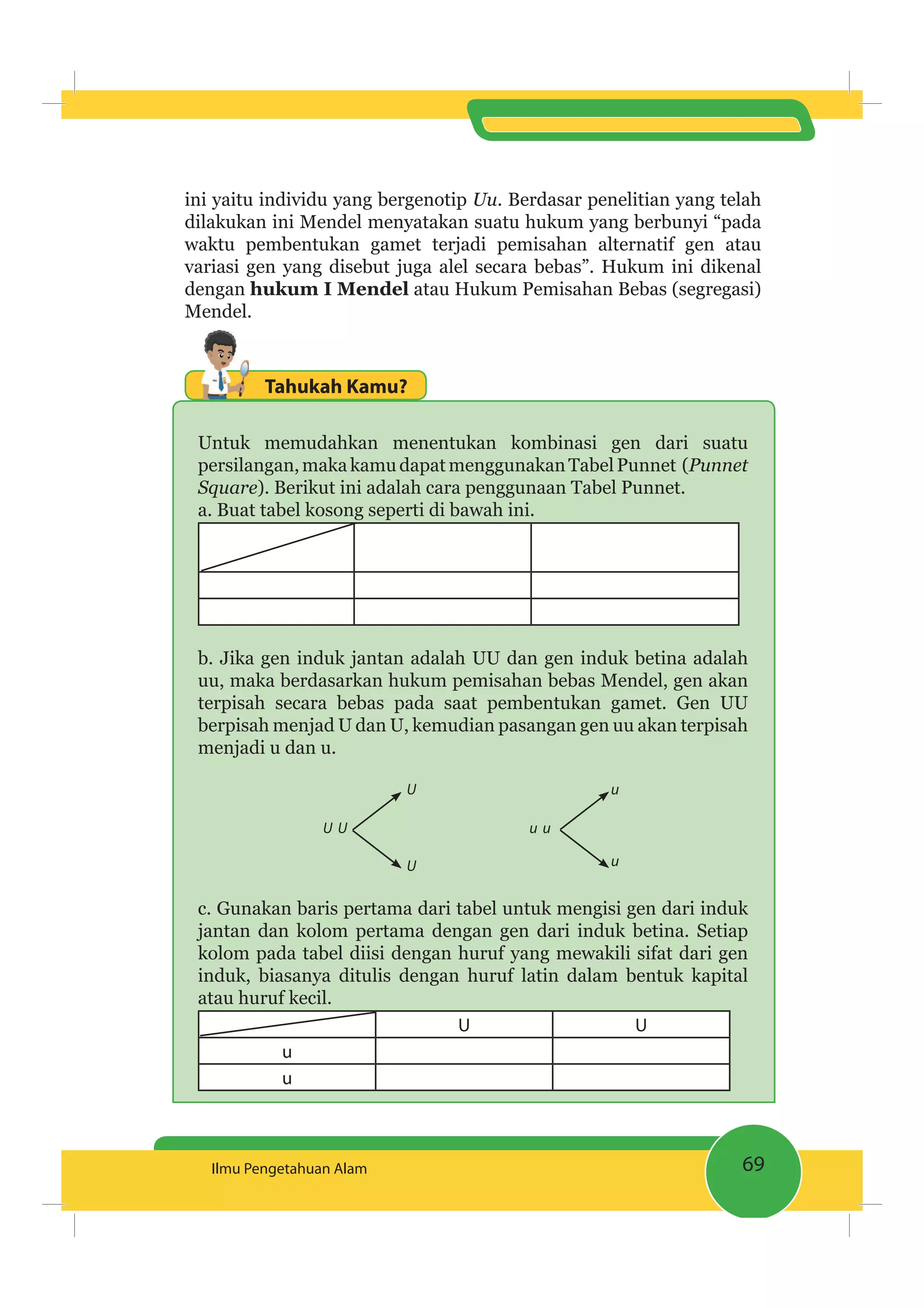 69Ilmu Pengetahuan Alam
ini yaitu individu yang bergenotip Uu. Berdasar penelitian yang telah
dilakukan ini Mendel menyatakan suatu hukum yang berbunyi “pada
waktu pembentukan gamet terjadi pemisahan alternatif gen atau
variasi gen yang disebut juga alel secara bebas”. Hukum ini dikenal
dengan hukum I Mendel atau Hukum Pemisahan Bebas (segregasi)
Mendel.
Tahukah Kamu?
Untuk memudahkan menentukan kombinasi gen dari suatu
persilangan,makakamudapatmenggunakanTabelPunnet (Punnet
Square). Berikut ini adalah cara penggunaan Tabel Punnet.
a. Buat tabel kosong seperti di bawah ini.
b. Jika gen induk jantan adalah UU dan gen induk betina adalah
uu, maka berdasarkan hukum pemisahan bebas Mendel, gen akan
terpisah secara bebas pada saat pembentukan gamet. Gen UU
berpisah menjad U dan U, kemudian pasangan gen uu akan terpisah
menjadi u dan u.
U uU
U
U
u
u
u
c. Gunakan baris pertama dari tabel untuk mengisi gen dari induk
jantan dan kolom pertama dengan gen dari induk betina. Setiap
kolom pada tabel diisi dengan huruf yang mewakili sifat dari gen
induk, biasanya ditulis dengan huruf latin dalam bentuk kapital
atau huruf kecil.
U U
u
u
 