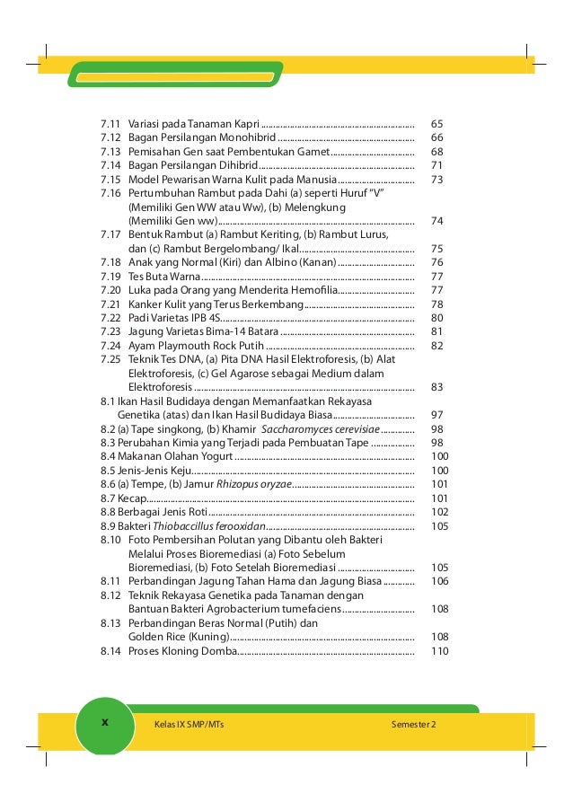 Buku ipa smp kelas 9 K 2013 semester 2