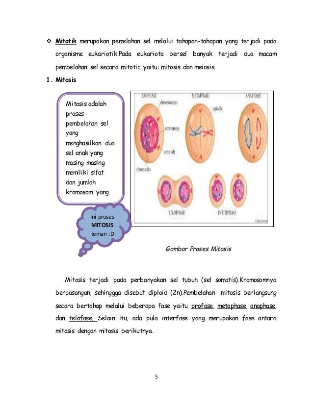Buku Pembelahan Sel 43269237