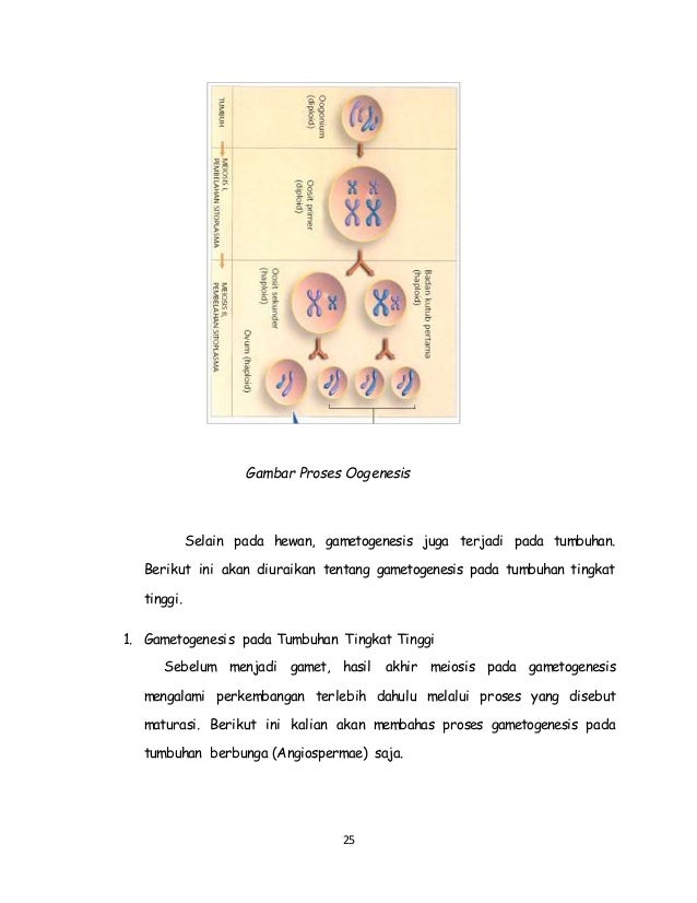 Buku Pembelahan Sel 43304684