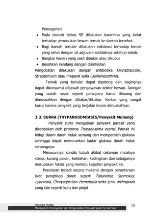 Petunjuk Praktis
Manajemen Pencegahan dan Pengendalian Penyakit pada Ternak Sapi
10
Pencegahan
Pada daerah bebas SE dilakukan karantina yang ketat
terhadap pemasukan hewan ternak ke daerah tersebut.
Bagi daerah tertular dilakukan vaksinasi terhadap ternak
yang sehat dengan oil adjuvant setidaknya setahun sekali.
Bangkai hewan yang sakit dibakar atau dikubur
Bersihkan kandang dengan disinfektan
Pengobatan dilakukan dengan antibiotika Oxytetracyclin,
Streptomycin atau Preparat sulfa (sulfamezathine).
Ternak yang tertular dapat dipotong dan dagingnya
dapat dikonsumsi dibawah pengawasan dokter hewan. Jaringan
yang sudah rusak seperti paru-paru harus dibuang dan
dimusnahkan dengan dibakar/dikubur. Karkas yang sangat
kurus karena penyakit yang berjalan kronis dimusnahkan.
3.3. SURRA (TRYPANOSOMIASIS/Penyakit Mubeng)
Penyakit surra merupakan penyakit parasit yang
disebabkan oleh protozoa Trypanosoma evansi. Parasit ini
hidup dalam darah induk semang dan memperoleh glukosa
sehingga dapat menurunkan kadar glukosa darah induk
semangnya.
Menurunnya kondisi tubuh akibat cekaman misalnya
stress, kurang pakan, kelelahan, kedinginan dan sebagainya
merupakan faktor yang memicu kejadian penyakit ini.
Penularan terjadi secara mekanis dengan perantaraan
lalat penghisap darah seperti Tabanidae, Stomoxys,
Lyperosia, Charysops dan Hematobia serta jenis arthropoda
yang lain seperti kutu dan pinjal
 