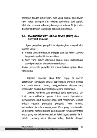 Petunjuk Praktis
Manajemen Pencegahan dan Pengendalian Penyakit pada Ternak Sapi
12
hamakan dengan disinfektan. Kulit yang berasal dari hewan
sakit harus disimpan dari tempat terlindung dari caplak,
lalat atau nyamuk sekurang-kurangnya selama 24 jam atau
disemprot dengan insektisida sebelum digunakan.
3.4. MALIGNANT CATHARRAL FEVER (MCF) atau
Penyakit Ingusan
Agen penyebab penyakit ini digolongkan menjadi dua
macam yaitu :
a. Herpes virus merupakan anggota dari sub famili Gamma
herpesvirinae famili herpesviridea
b. Agen yang belum diketahui secara jelas klasifikasinya
dan diperkirakan ditularkan oleh domba.
Kedua penyebab penyakit ini menimbulkan gejala klinis
yang sama
Kejadian penyakit akan lebih tinggi di daerah
peternakan campuran antara sapi/kerbau dengan domba
atau pada daerah padang penggembalaan dimana sapi,
kerbau dan domba digembalakan secara bersamaan.
Domba, kambing dan berbagai jenis ruminansia lain
tidak memperlihatkan gejala klinis tetapi diperkirakan
menyebarkan bibit penyakit pada saat melahirkan. Domba
diduga sebagai pembawa penyakit. Virus mampu
menerobos placenta menuju janin. Virus yang terbebas dari
sel bergerak menuju hidung dan mata dari hewan perantara
muda yang kemudian menderita infeksi segera setelah lahir.
Induk semang akhir (hewan sehat) tertular dengan
 