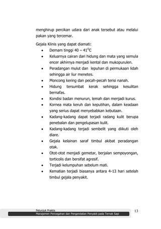 Petunjuk Praktis
Manajemen Pencegahan dan Pengendalian Penyakit pada Ternak Sapi
13
menghirup percikan udara dari anak tersebut atau melalui
pakan yang tercemar.
Gejala Klinis yang dapat diamati:
Demam tinggi 40 – 41O
C
Keluarnya cairan dari hidung dan mata yang semula
encer akhirnya menjadi kental dan mukopurulen.
Peradangan mulut dan lepuhan di permukaan lidah
sehingga air liur menetes.
Moncong kering dan pecah-pecah terisi nanah.
Hidung tersumbat kerak sehingga kesulitan
bernafas.
Kondisi badan menurun, lemah dan menjadi kurus.
Kornea mata keruh dan keputihan, dalam keadaan
yang serius dapat menyebabkan kebutaan.
Kadang-kadang dapat terjadi radang kulit berupa
penebalan dan pengelupasan kulit.
Kadang-kadang terjadi sembelit yang diikuti oleh
diare.
Gejala kelainan saraf timbul akibat peradangan
otak.
Otot-otot menjadi gemetar, berjalan sempoyongan,
torticolis dan bersifat agresif.
Terjadi kelumpuhan sebelum mati.
Kematian terjadi biasanya antara 4-13 hari setelah
timbul gejala penyakit.
 