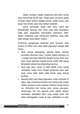 Petunjuk Praktis
Manajemen Pencegahan dan Pengendalian Penyakit pada Ternak Sapi
18
Gejala cacingan sangat tergantung dari jenis cacing
yang menyerang ternak sapi. Tetapi pada umumnya gejala
cacingan dapat terlihat sebagai berikut: badan kurus, bulu
kusam dan berdiri, diare atau bahkan sembelit.
Untuk menyiasati harga obat yang mahal dan
dampak/efek samping obat kimia yang tidak diharapkan
maka perlu diupayakan obat-obatan tradisional. Obat-
obatan tradisional juga mempunyai efektifitas yang tidak
kalah dengan obat-obatan modern.
Contohnya penggunaan beberapa jenis tanaman yang
tumbuh di sekitar area yang dapat digunakan sebagai obat
cacing :
Buah pinang digongseng (goreng tanpa minyak)
kemudian ditumbuk halus 1 sendok makan dicampur air
1 cangkir kemudian diberikan kepada ternak. Buah atau
daun nenas diberikan kepada ternak sekitar 600 mg/kg
BB setelah sebelumnya dibersihkan durinya.
Buah atau daun nenas ini lebih efektif untuk cacing
nematoda. Tetapi harus diingat pemberian daun atau
buah nenas tidak boleh pada ternak yang sedang
bunting.
Bawang putih yang biasa digunakan untuk memasak di
dapur juga mempunyai khasiat anti-cacing yang sangat
efektif, terutama untuk melawan infestasi cacing Ascaris
sp, Enterobius dan semua jenis cacing paru-paru.
Keuntungan lain dari bawang putih adalah adanya
kandungan antibiotika alami yang sangat aman dan
tidak meninggalkan residu di sapi, antibiotika ini akan
 