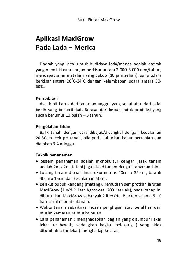 Budidaya Kangkung Darat Ipomoea Reptans
