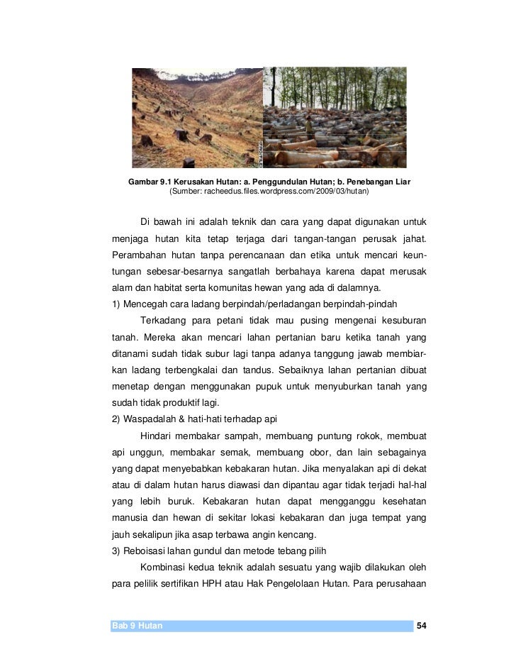 Buku Sekolah Elektronik Bse Plh Smp Kelas Ix2009