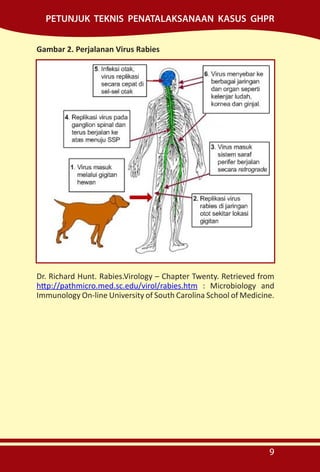 Mus Med Rabies BUKU SAKU RABIES MODUL TROPIS.pdf