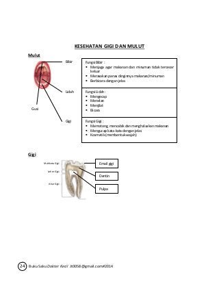 KESEHATAN GIGI DAN MULUT 
Mulut 
Gusi 
Gigi 
Mahkota Gigii 
Leher Gigii 
Akar Gigii 
Bibir 
Lidah 
Fungsi Bibir : 
 Menjaga agar makanan dan minuman tidak tercecer 
keluar 
 Merasakan panas dinginnya makanan/minuman 
 Berbicara dengan jelas 
Fungsi Lidah : 
 Mengecap 
 Menelan 
 Menjilat 
 Bicara 
Gigi Fungsi Gigi : 
 Memotong, mencabik dan menghaluskan makanan 
 Mengucap kata-kata dengan jelas 
 Kosmetik (membentuk wajah) 
Email gigi 
Dentin 
Pulpa 
24 Buku Saku Dokter Kecil Jt0058@gmail.com#2014 
 