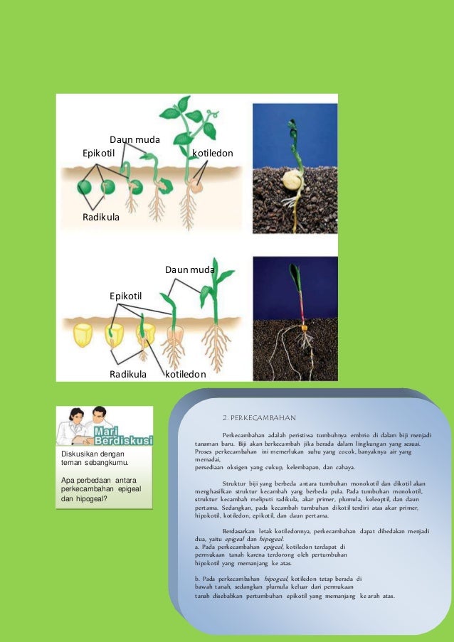 Isi buku pertumbuhan dan perkembangan tumbuhan