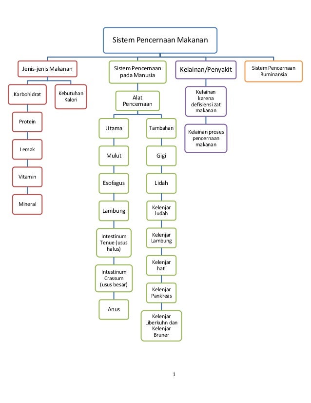 BUKU PELAJARAN TENTANG SISTEM  PENCERNAAN  MAKANAN
