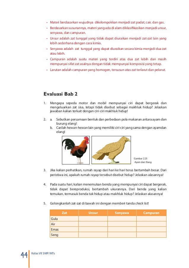 Buku Siswa Ipa Smp Kelas 7 Tuliskan 3 Perbedaan Gambar