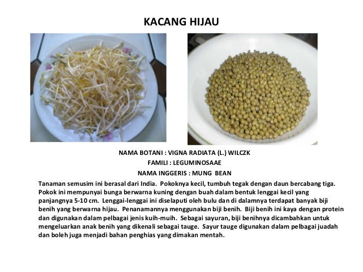 Buku skrap jenis jenis sayuran