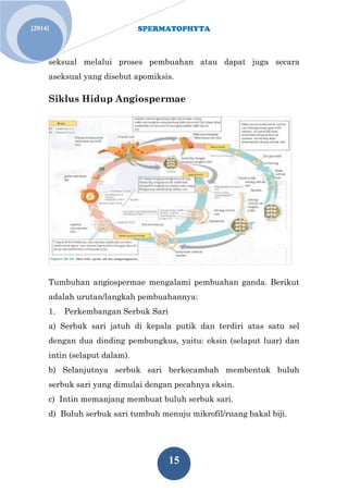 SPERMATOPHYTA
15
[2014]
seksual melalui proses pembuahan atau dapat juga secara
aseksual yang disebut apomiksis.
Siklus Hidup Angiospermae
Tumbuhan angiospermae mengalami pembuahan ganda. Berikut
adalah urutan/langkah pembuahannya:
1. Perkembangan Serbuk Sari
a) Serbuk sari jatuh di kepala putik dan terdiri atas satu sel
dengan dua dinding pembungkus, yaitu: eksin (selaput luar) dan
intin (selaput dalam).
b) Selanjutnya serbuk sari berkecambah membentuk buluh
serbuk sari yang dimulai dengan pecahnya eksin.
c) Intin memanjang membuat buluh serbuk sari.
d) Buluh serbuk sari tumbuh menuju mikrofil/ruang bakal biji.
 