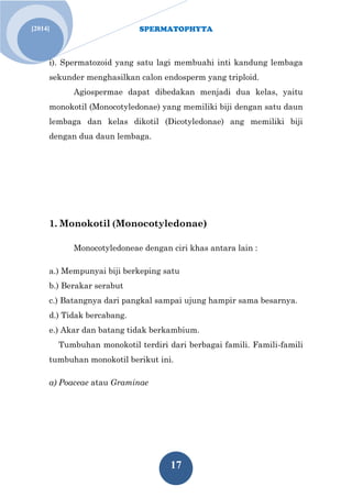 SPERMATOPHYTA
17
[2014]
i). Spermatozoid yang satu lagi membuahi inti kandung lembaga
sekunder menghasilkan calon endosperm yang triploid.
Agiospermae dapat dibedakan menjadi dua kelas, yaitu
monokotil (Monocotyledonae) yang memiliki biji dengan satu daun
lembaga dan kelas dikotil (Dicotyledonae) ang memiliki biji
dengan dua daun lembaga.
1. Monokotil (Monocotyledonae)
Monocotyledoneae dengan ciri khas antara lain :
a.) Mempunyai biji berkeping satu
b.) Berakar serabut
c.) Batangnya dari pangkal sampai ujung hampir sama besarnya.
d.) Tidak bercabang.
e.) Akar dan batang tidak berkambium.
Tumbuhan monokotil terdiri dari berbagai famili. Famili-famili
tumbuhan monokotil berikut ini.
a) Poaceae atau Graminae
 
