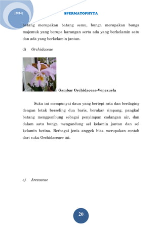 SPERMATOPHYTA
20
Jan. 1[2014]
batang merupakan batang semu, bunga merupakan bunga
majemuk yang berupa karangan serta ada yang berkelamin satu
dan ada yang berkelamin jantan.
d) Orchidaceae
Gambar Orchidaceae-Venezuela
Suku ini mempunyai daun yang bertepi rata dan berdaging
dengan letak berseling dua baris, berakar rimpang, pangkal
batang menggembung sebagai penyimpan cadangan air, dan
dalam satu bunga mengandung sel kelamin jantan dan sel
kelamin betina. Berbagai jenis anggek hias merupakan contoh
dari suku Orchidaceace ini.
e) Arecaceae
 