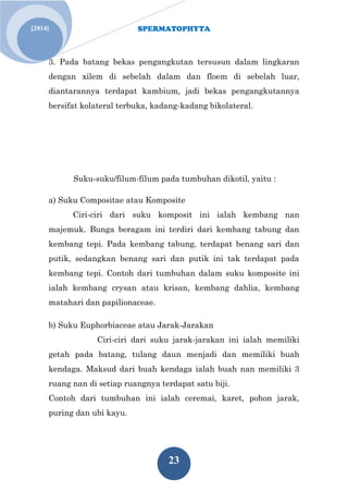 SPERMATOPHYTA
23
[2014]
3. Pada batang bekas pengangkutan tersusun dalam lingkaran
dengan xilem di sebelah dalam dan floem di sebelah luar,
diantarannya terdapat kambium, jadi bekas pengangkutannya
bersifat kolateral terbuka, kadang-kadang bikolateral.
Suku-suku/filum-filum pada tumbuhan dikotil, yaitu :
a) Suku Compositae atau Komposite
Ciri-ciri dari suku komposit ini ialah kembang nan
majemuk. Bunga beragam ini terdiri dari kembang tabung dan
kembang tepi. Pada kembang tabung, terdapat benang sari dan
putik, sedangkan benang sari dan putik ini tak terdapat pada
kembang tepi. Contoh dari tumbuhan dalam suku komposite ini
ialah kembang crysan atau krisan, kembang dahlia, kembang
matahari dan papilionaceae.
b) Suku Euphorbiaceae atau Jarak-Jarakan
Ciri-ciri dari suku jarak-jarakan ini ialah memiliki
getah pada batang, tulang daun menjadi dan memiliki buah
kendaga. Maksud dari buah kendaga ialah buah nan memiliki 3
ruang nan di setiap ruangnya terdapat satu biji.
Contoh dari tumbuhan ini ialah ceremai, karet, pohon jarak,
puring dan ubi kayu.
 