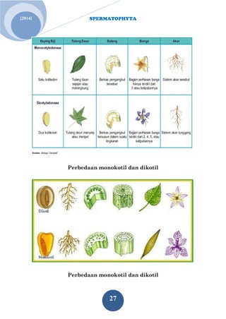 SPERMATOPHYTA
27
[2014]
Perbedaan monokotil dan dikotil
Perbedaan monokotil dan dikotil
 