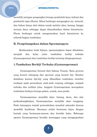 SPERMATOPHYTA
5
[2014]
memiliki jaringan pengangkut berupa pembuluh kayu (xilem) dan
pembuluh tapis (floem). Xilem berfungsi mengangkut air, mineral,
dan bahan lainya dari dalam tanah melalui akar, batang, hingga
menuju daun sehingga dapat dimanfaatkan dalam fotosintesis.
Floem berfungsi untuk mengantarkan hasil fotosintesis ke
seluruh bagian tumbuhan.
B. Pengelompokan dalam Spermatopyta
Berdasarkan letak bijinya, spermatophyta dapat dibedakan
menjadi dua kelas yaitu tumbuhan berbiji terbuka
(Gymnospermae) dan tumbuhan berbiji tertutup (Angiospermae).
1.Tumbuhan Berbiji Terbuka (Gymnospermae)
Gymnospermae berasal dari bahasa Yunani. Kata gymnos
yang berarti telanjang dan spermae yang berarti biji. Disebut
demikian karena biji-biji yang dihasilkan tumbuhan tersebut
terdapat pada permukaan sisik-sisik runjung sehingga, tampak
terbuka dan terlihat jelas. Anggota Gymnospermae merupakan
tumbuhan berkayu berupa pohon, semak, atau perdu.
Gymnospermae memiliki akar, batang, daun, dan alat
perkembangbiakan. Gymnospermae memiliki akar tunggang.
Pada batangnya terjadi pertumbuhan menebal sekunder karena
memiliki kambium. Daunnya selalu berwarna hijau dengan
bentuk yang bermacam-macam dan bersifat kaku. Beberapa
spesies Gymnospermae bersifat meranggas yang menggugurkan
 