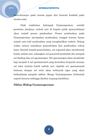 SPERMATOPHYTA
6
Jan. 1[2014]
daun-daunnya pada musim gugur dan bersemi kembali pada
musim semi.
Pada tumbuhan kelompok Gymnospermae, setelah
peristiwa jatuhnya serbuk sari di kepala putik (penyerbukan)
akan terjadi proses pembuahan. Proses pembuahan pada
Gymnospermae merupakan pembuahan tunggal karena hanya
terjadi satu kali pembuahan yang menghasilkan embrio. Selang
waktu antara terjadinya penyerbukan dan pembuahan cukup
lama. Setelah terjadi penyerbukan, sel vegetatif akan membentuk
buluh serbuk sari, sedangkan sel generatif membelah diri menjadi
sel dinding dan sel spermatogen. Sel spermatogen akan membelah
lagi menjadi 2 sel spermatozoid yang kemudian bergerak menuju
sel telur melalui buluh serbuk sari. Apabila sel spermatozoid
bertemu dengan sel telur akan terbentuk zigot yang akan
berkembang menjadi embrio. Bunga Gymnospermae berbentuk
seperti kerucut sehingga disebut runjung (strobilus).
Siklus Hidup Gymnospermae
 