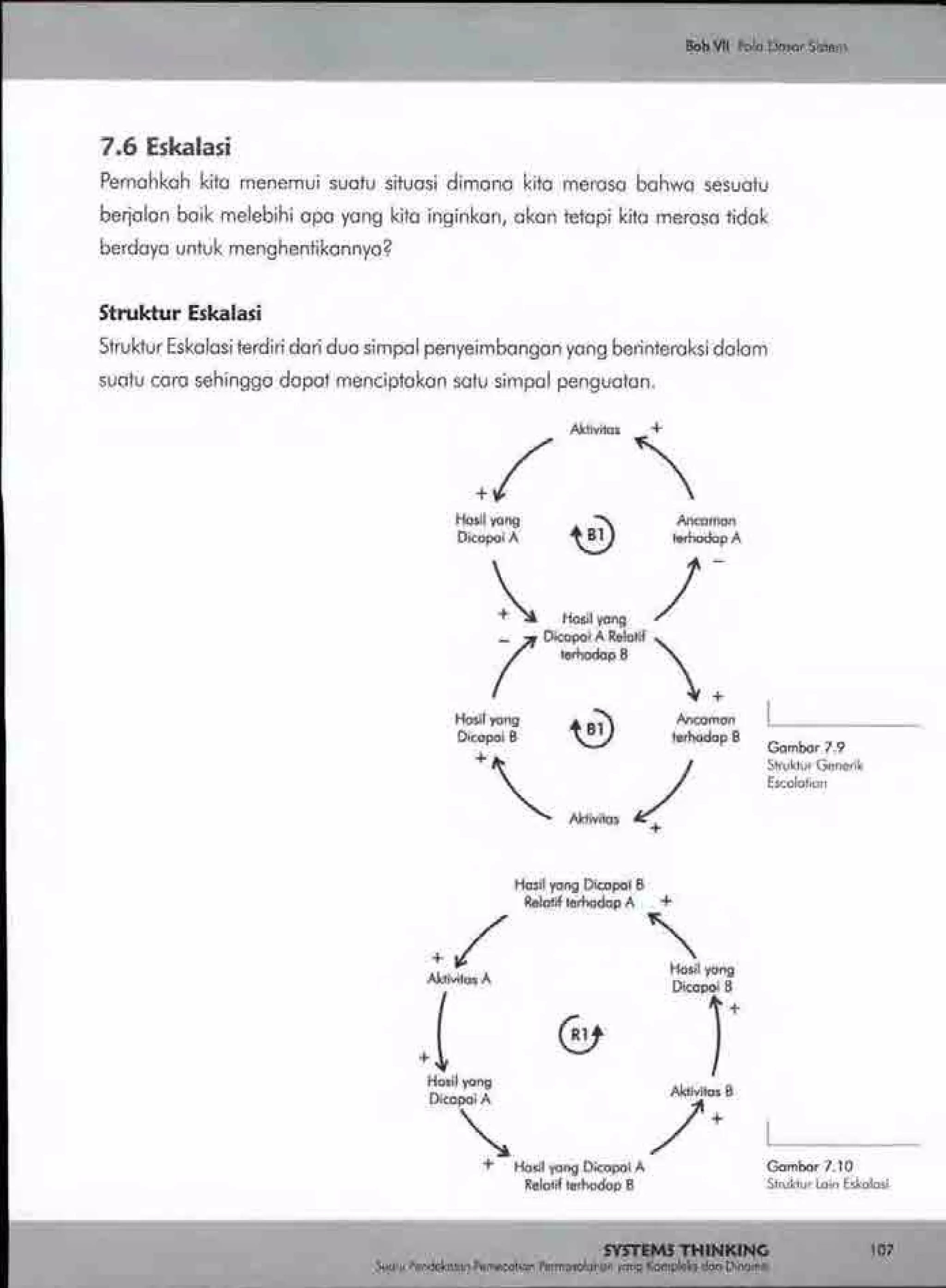 Buku systems thinking