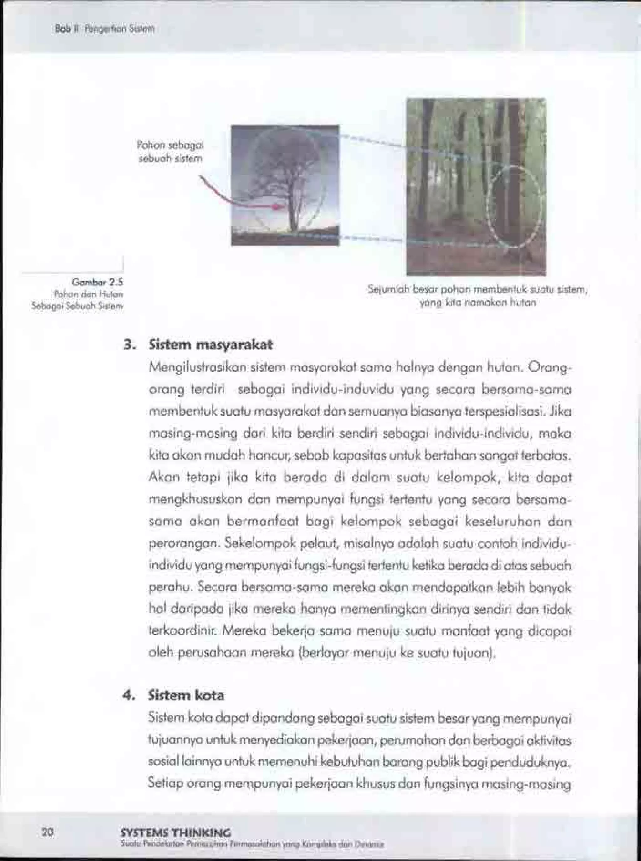 Buku systems thinking