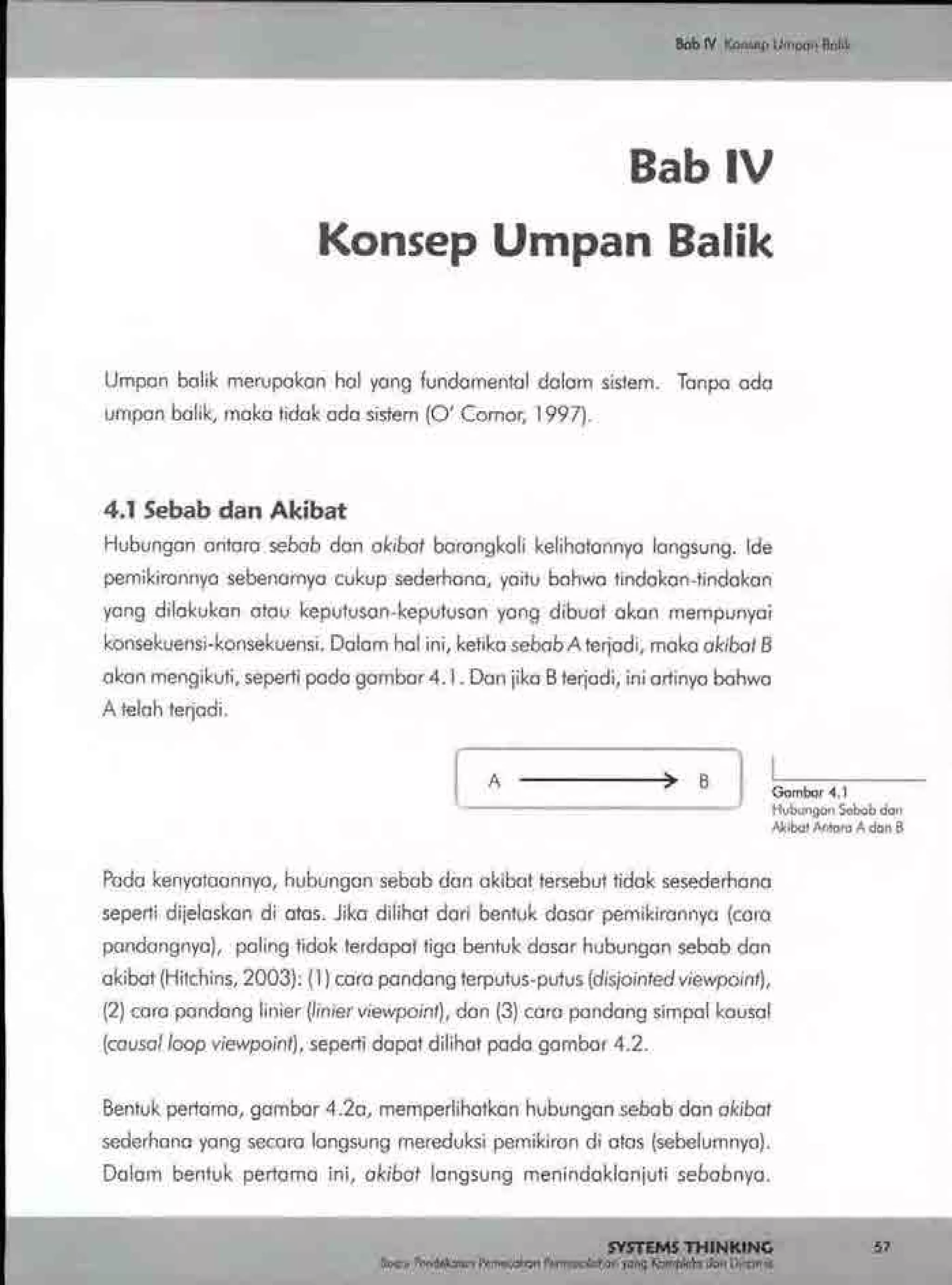 Buku systems thinking