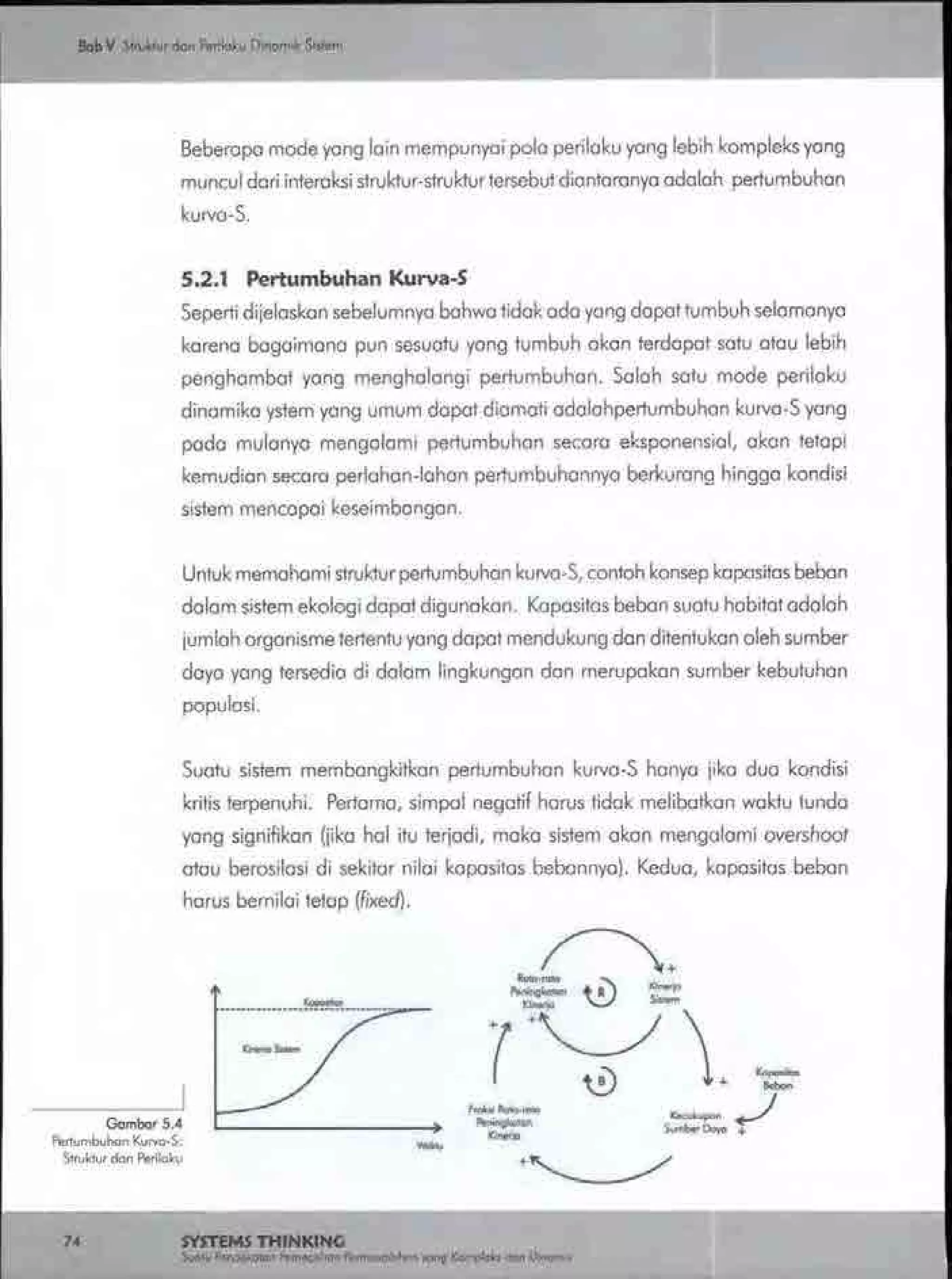 Buku systems thinking