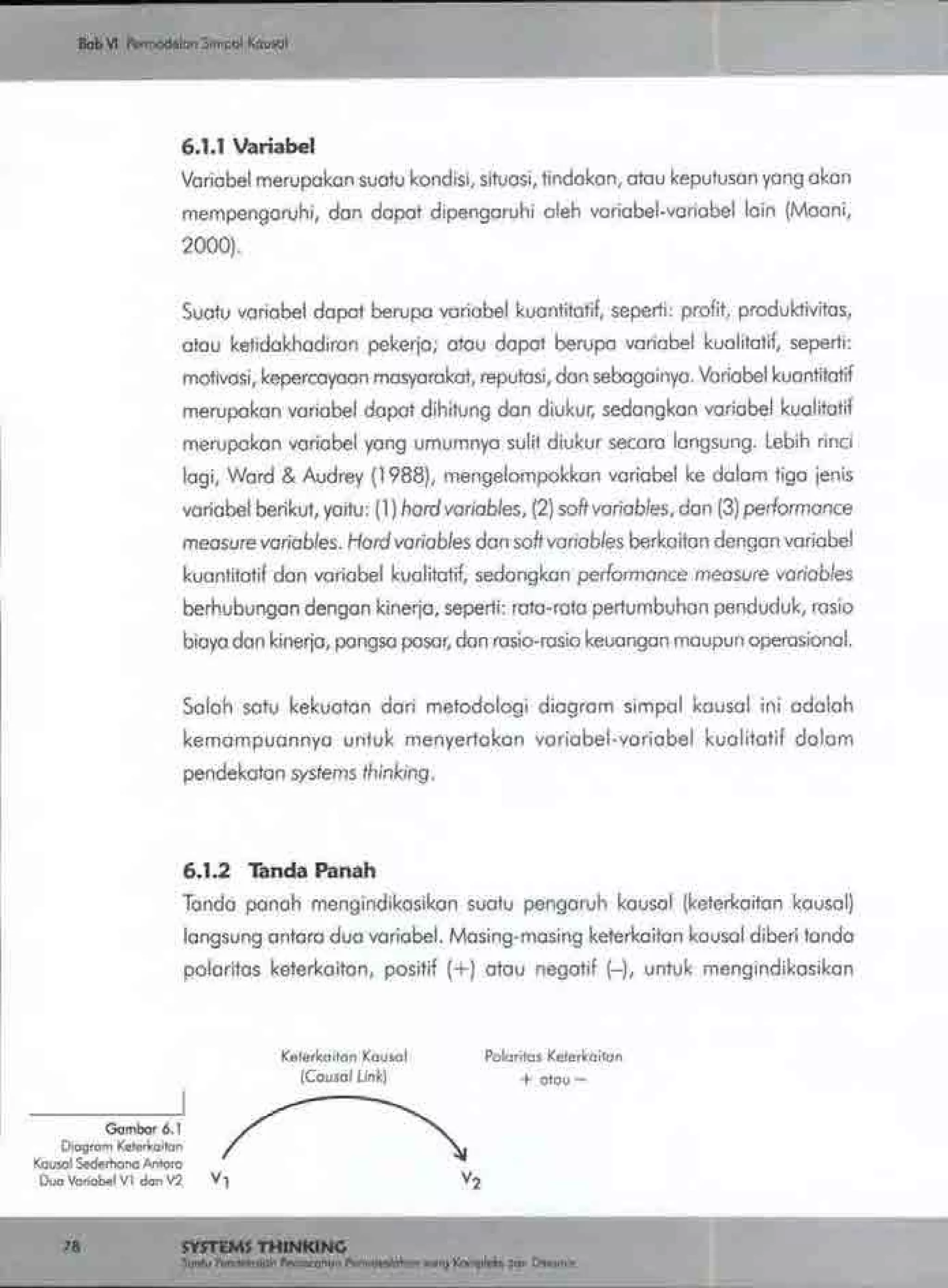 Buku systems thinking