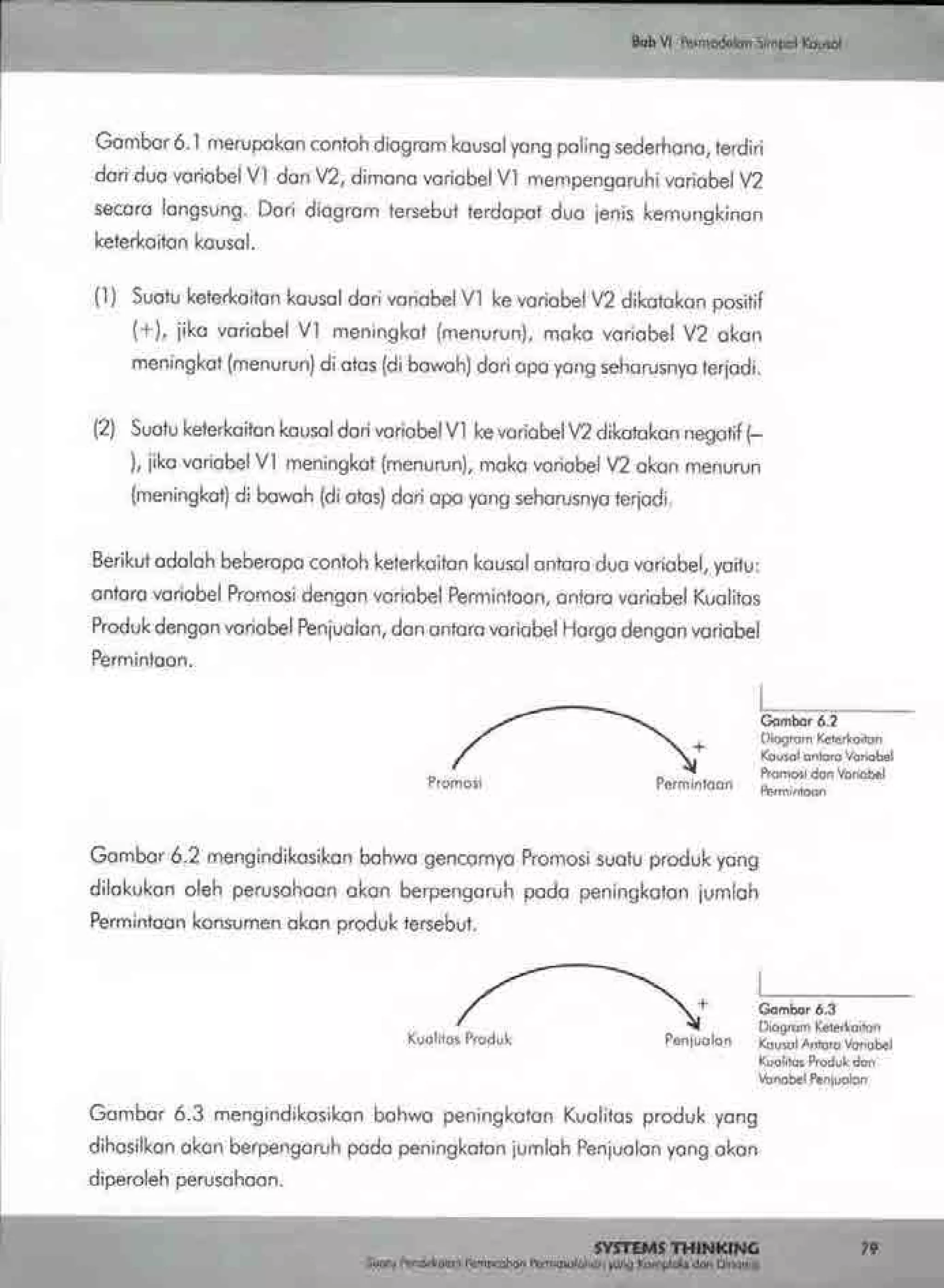 Buku systems thinking