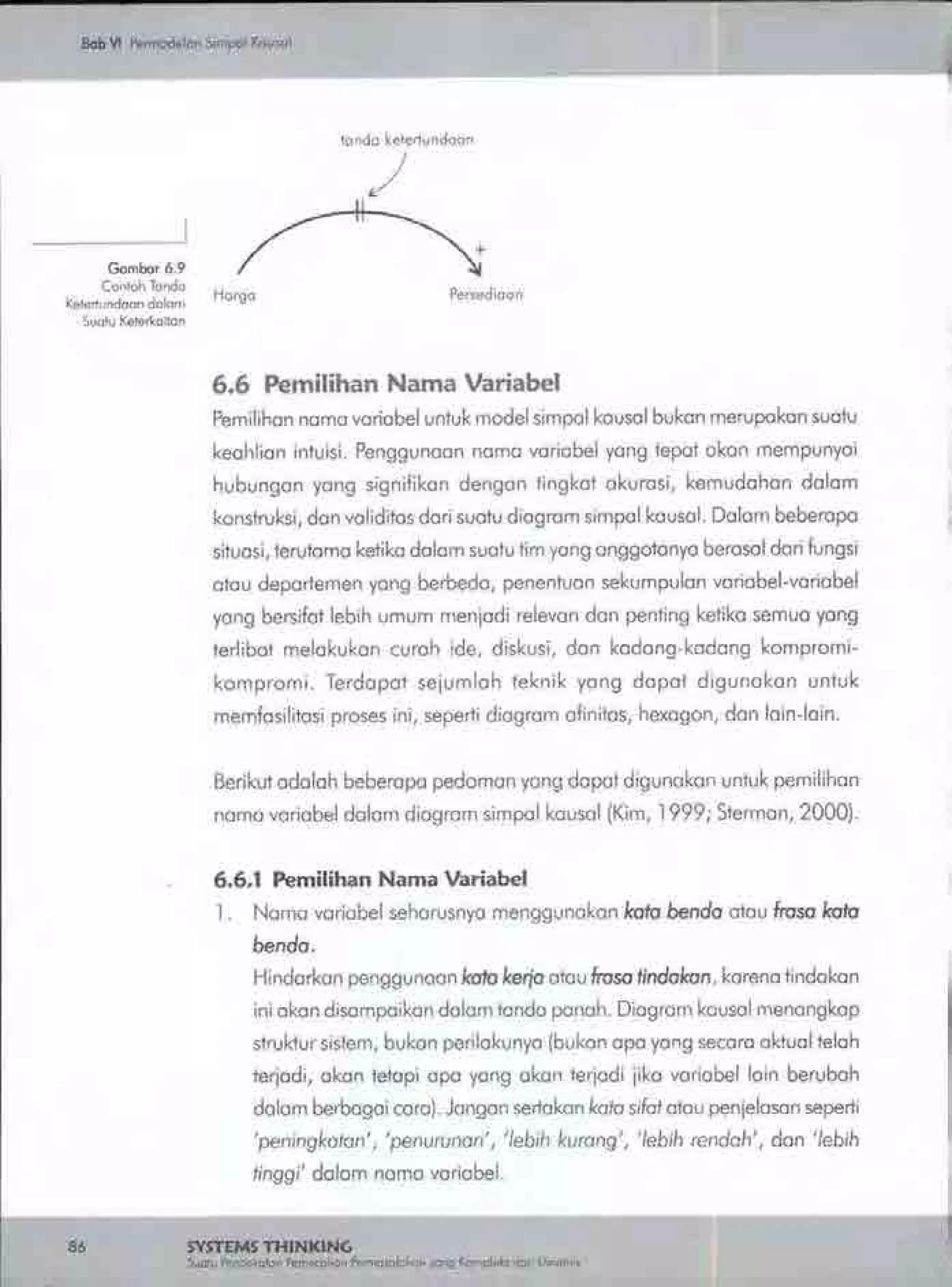 Buku systems thinking