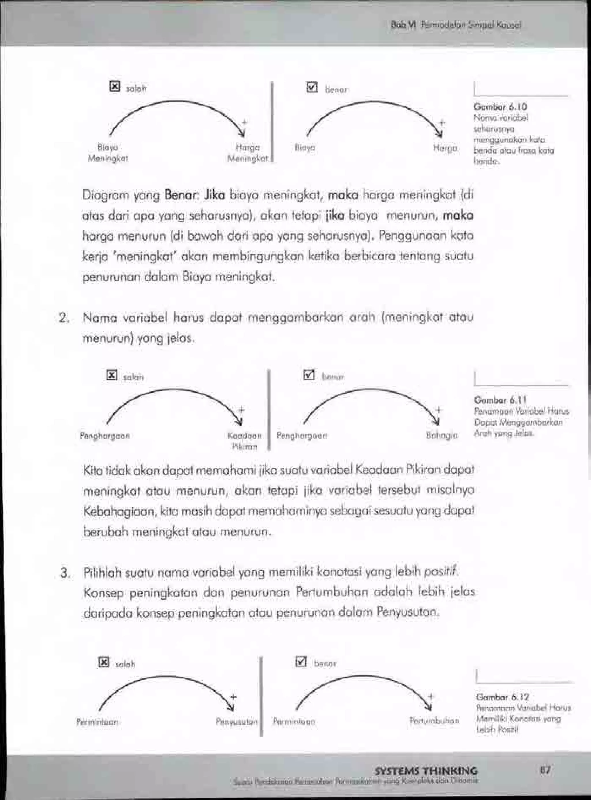 Buku systems thinking