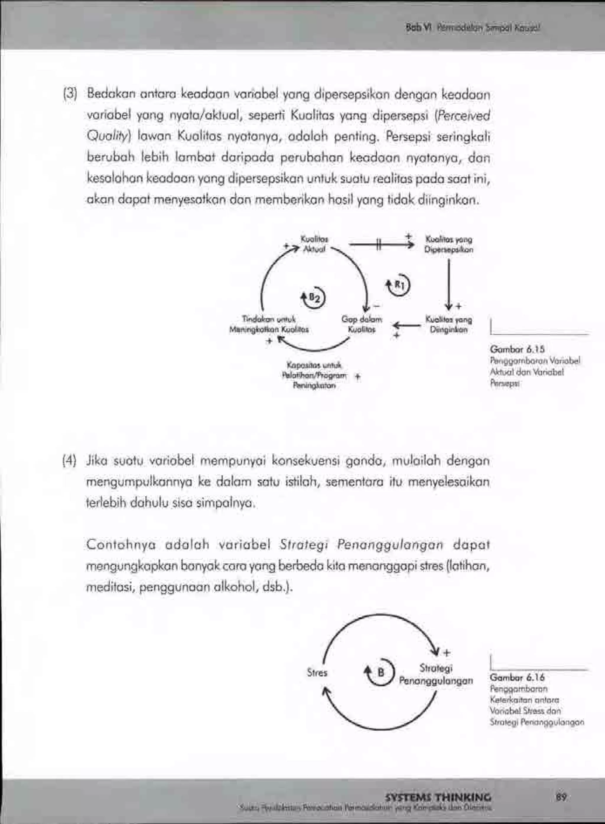 Buku systems thinking