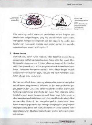 Buku systems thinking