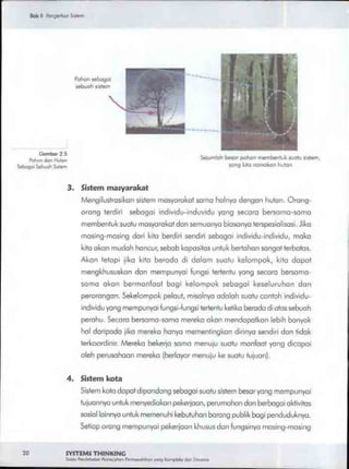 Buku systems thinking